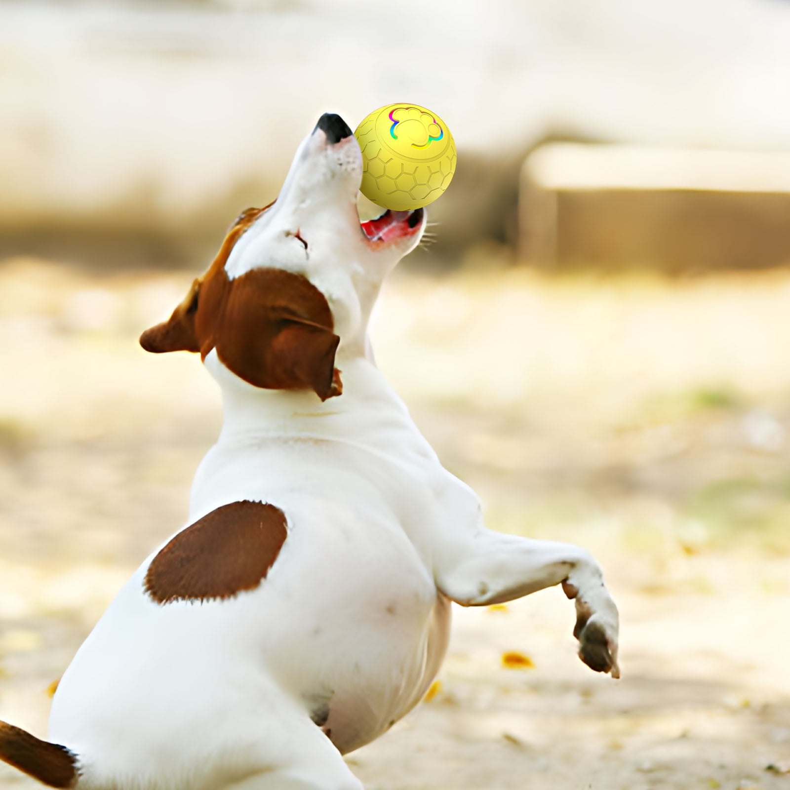 Qinghuai Peppy Pet Ball for Dogs, Dog Interactive Toys Dog Ball,Motion Activate Rolling Ball for Puppy/Small Dogs, Automatic Moving Dog Toy,USB Rechargeable 6 7e0f3476 152a 4807 b67e d2d41fe246f8.505c918b483a12f3fe010d111e9f75e4 - easyishop.co.uk
