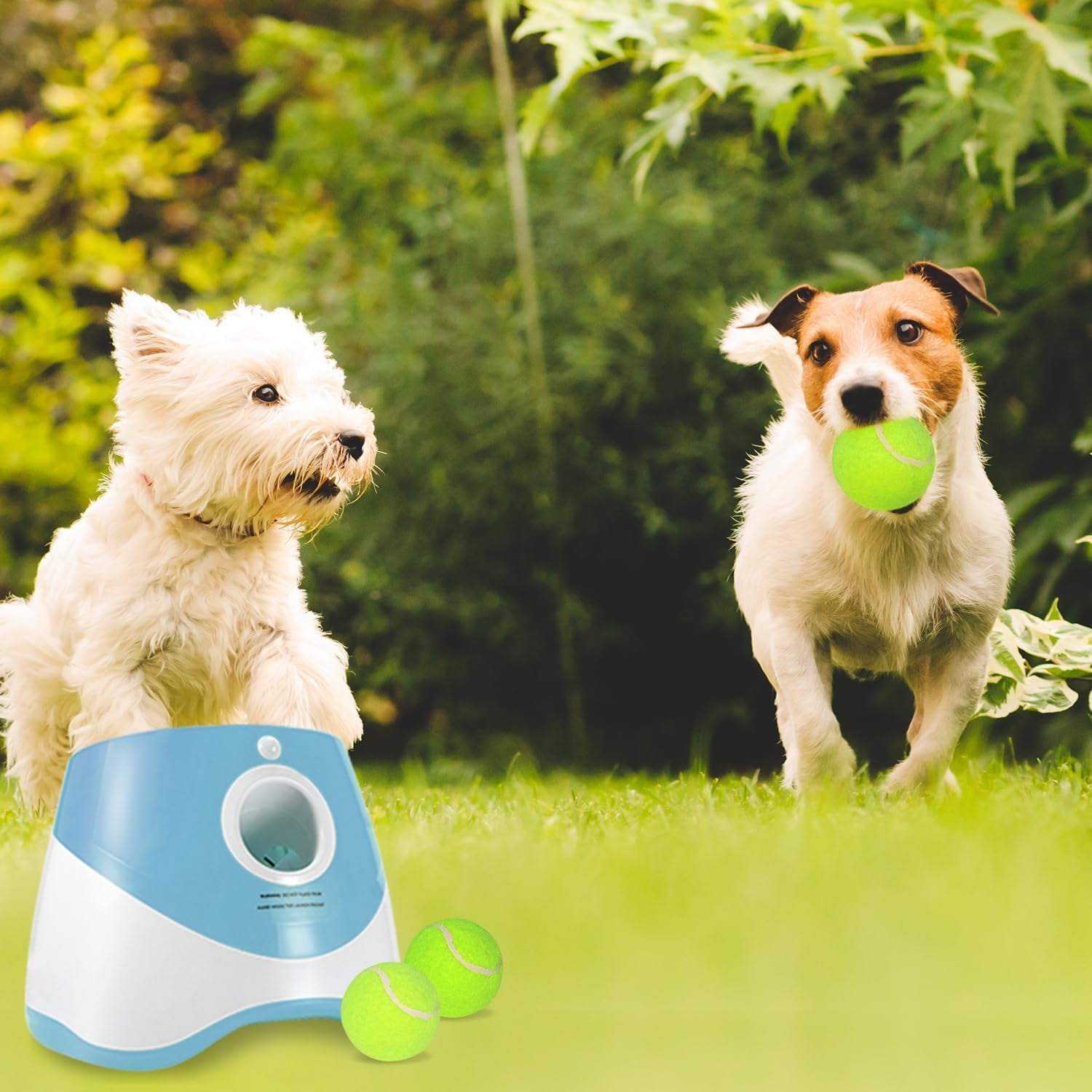 Ball Thrower for Dogs,Interactive dog fetch machine,Automatic Tennis Ball Launcher with 12 Tennis Balls,Dog Ball Thrower Machine with 10-30Ft 3 Launching Distance,for Small Dogs Indoor & Outdoor 2 81387f54 c91f 4dd7 940e 2bb0799b6c9a.d2d878767c7a7949976a8b6e4791df3c - easyishop.co.uk