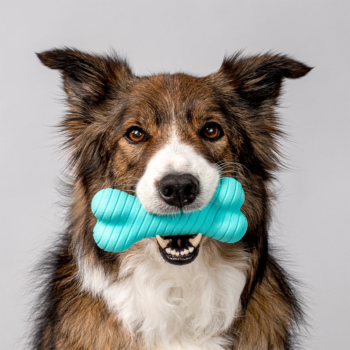 Playology Dual Layer Bone | Engaging All Natural Peanut Butter Scented Dog Toy, Blue Bone for Medium Dogs up to 50lbs | Interactive & Durable for Tough Chewers 3 82c717e7 bfd4 4752 a2b3 4d2887eba6d3.a0cdb698e40950ccc50d40c79585f28b - easyishop.co.uk