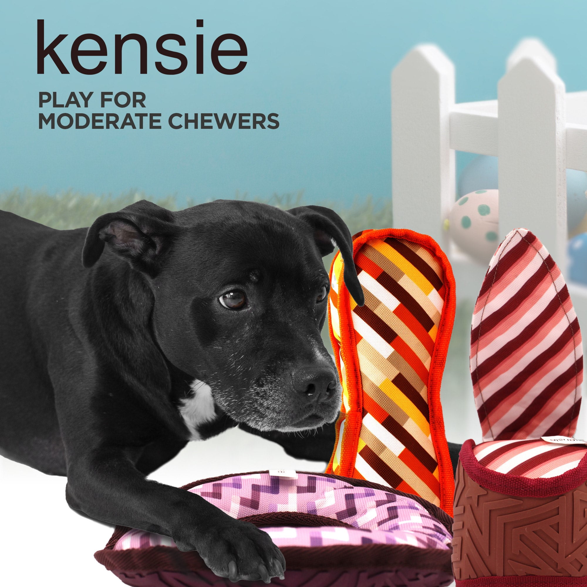 3-Piece Dog Toy Set by Kensie: Squeaky Ring Toy, Squeaky Tug-It Toy, & Squeaky Fetch Stick | Eco-Aware Chew and Fetch Toys Loved By All Active Dogs 2 83fa522a de97 427c 846d aab9c411e57f.6c704b72508c8a9e33dcef4f5850a53b - easyishop.co.uk