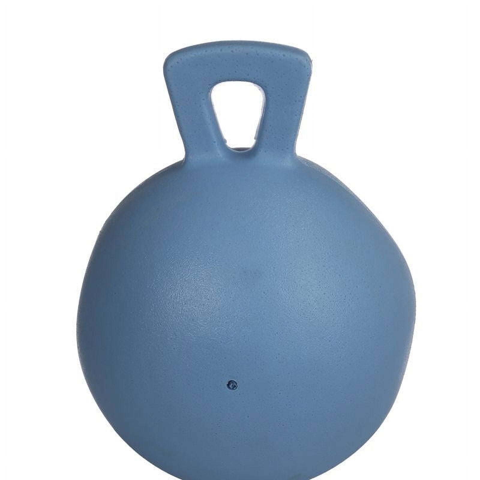 Jolly Pets 410P Tug-n-Toss Horse Jolly Ball™ for Dogs/Horses, 10", Peppermint 5 843616f9 d25c 4f9c 971e 398d4c7927dd.c574aa9a327d51776362207b987447c4 - easyishop.co.uk