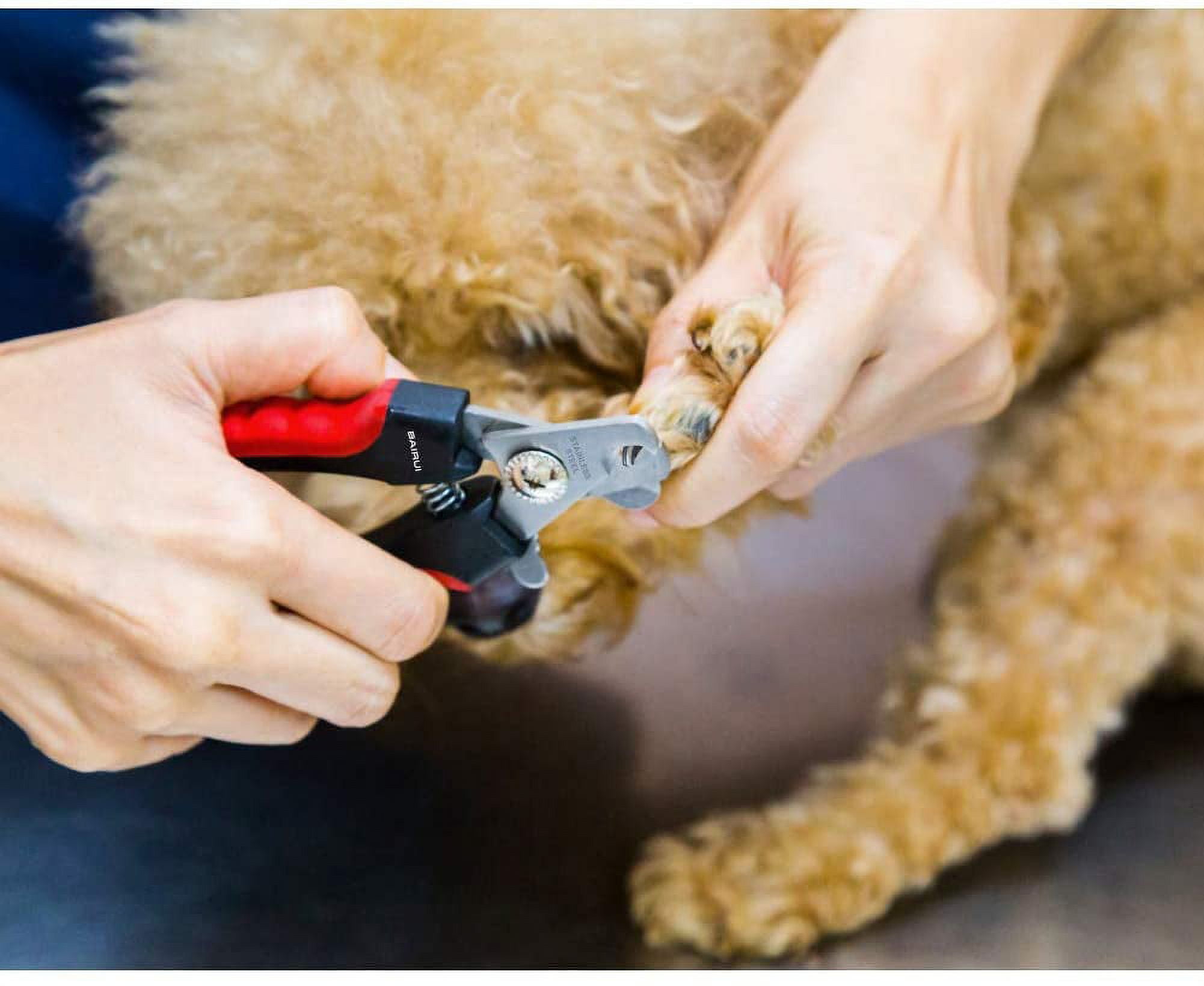 LANMOK Dog Nail Clippers and Heavy Duty Nail Clipper for Large Dogs,Professional Nail Trimmer for Dogs/Cats,Pet-Nail Trimmer with Safety Guard to Avoid Over-Cutting Nails (Red) 4 86d4b469 f49a 47a9 995a 7b163c2c5278.6bac3e3696dafb1019af295580d4b7e6 - easyishop.co.uk