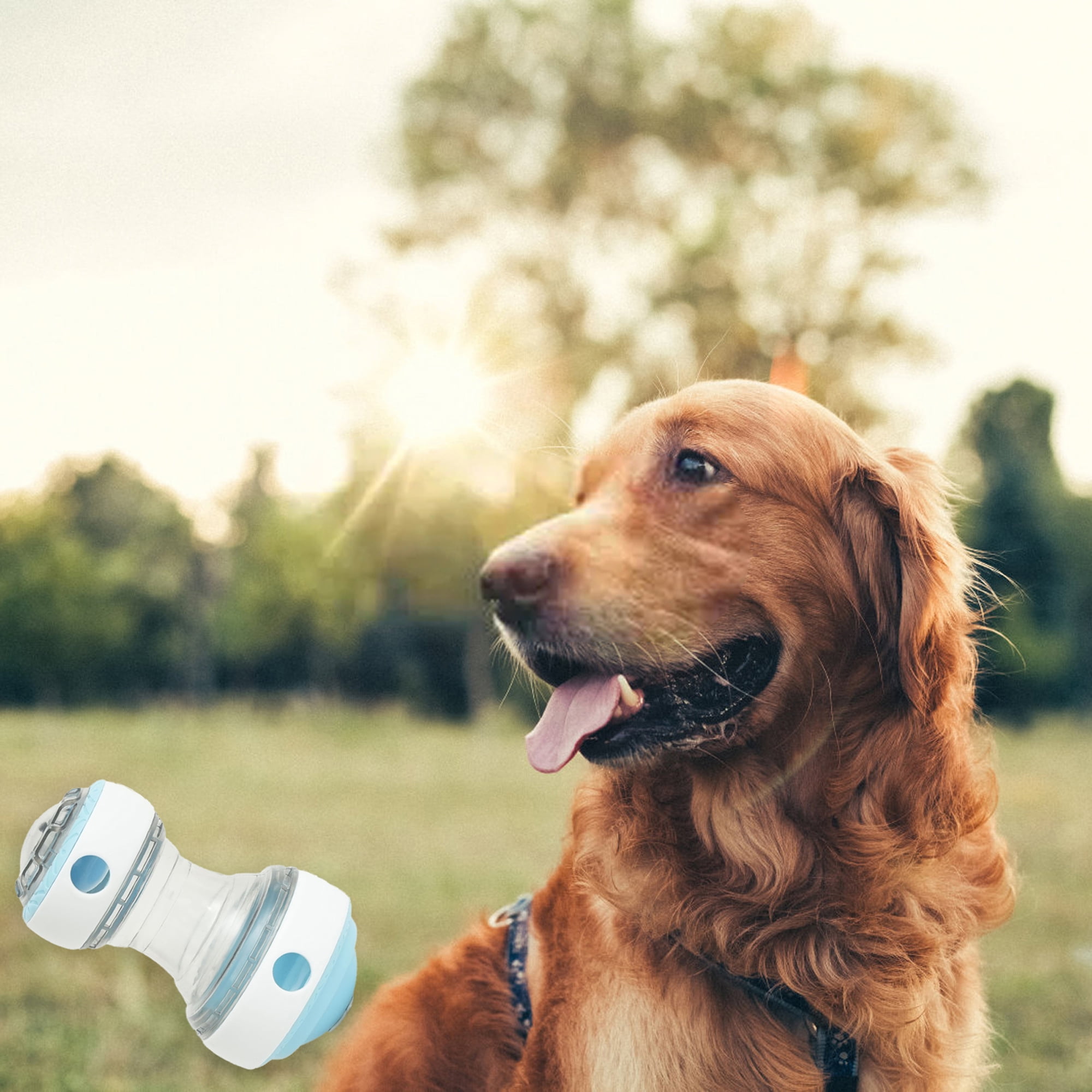 Treat Puzzle Toys for Dogs Bite-Resistant Leaking Food Rotating Dog Treat Dispenser Ball Feeder 13 892b6a53 0376 4bee bfa1 3a769bda0f5d.3ac782ad3e329af1902954f2b4fed165 - easyishop.co.uk
