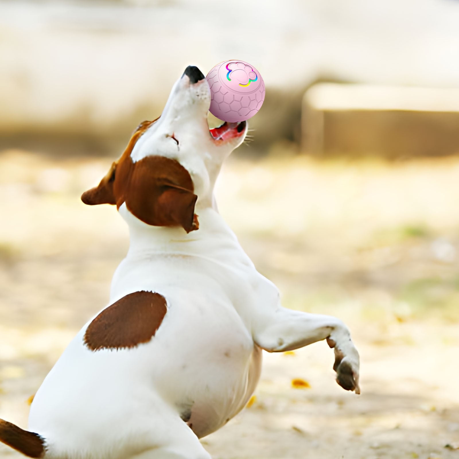 Qinghuai Peppy Pet Ball for Dogs, Dog Interactive Toys Dog Ball,Motion Activate Rolling Ball for Puppy/Small Dogs, Automatic Moving Dog Toy,USB Rechargeable 22 899d0ab6 b258 4983 8a79 f2bf70d4c8db.a1fd1cbeb095d0d99ed6b5846f34cd9f - easyishop.co.uk
