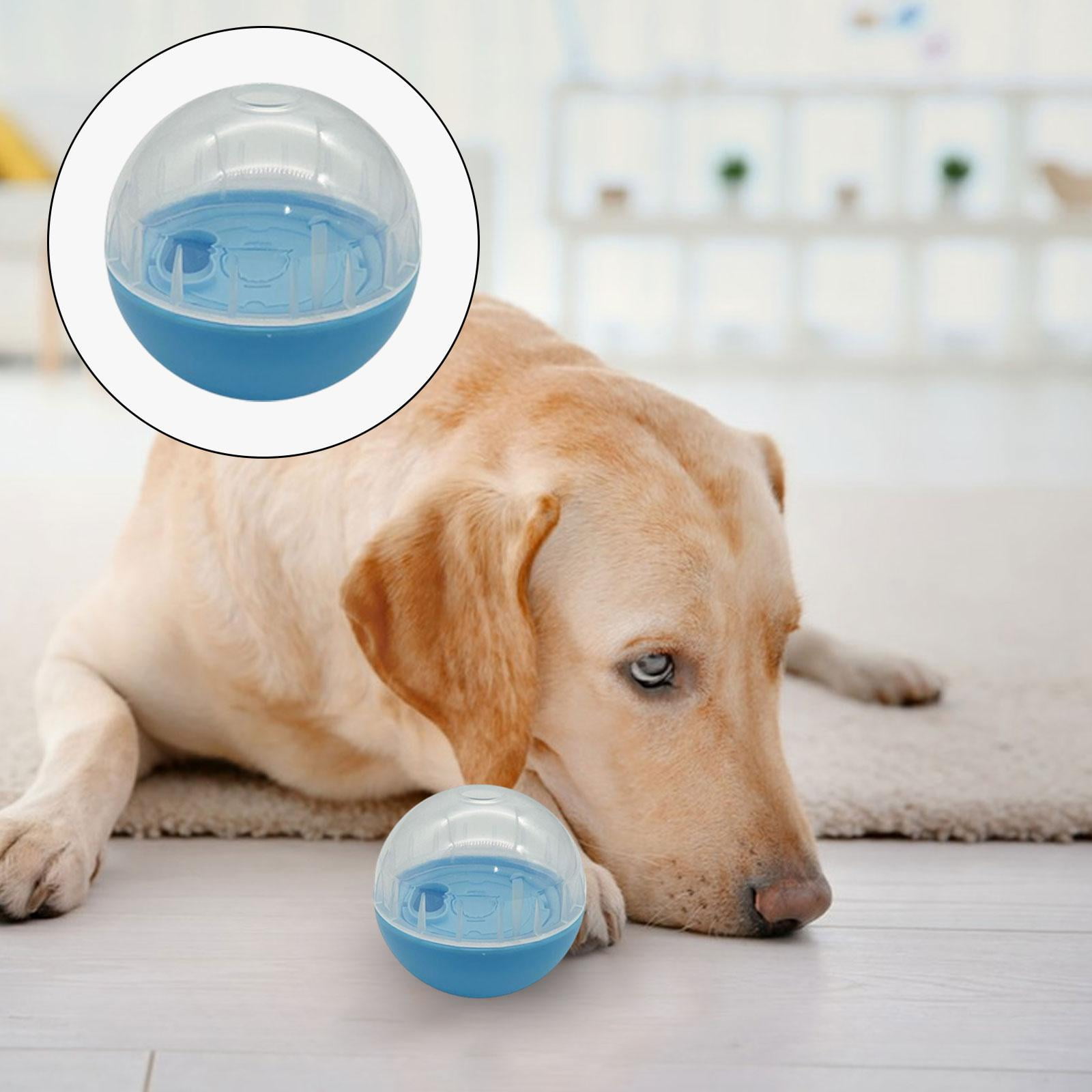 Ball Pet Slow Feeder Food Dispensing Adjustable Dog Puzzles Balls Interactive Dog Cat Toy for Small to Medium Dogs and Cats Blue 7 8e1eaaa5 b8d5 410d a7d1 cb337bbb8a3f.b16dc4ca719ebbe79892ff303e4ffaaf - easyishop.co.uk