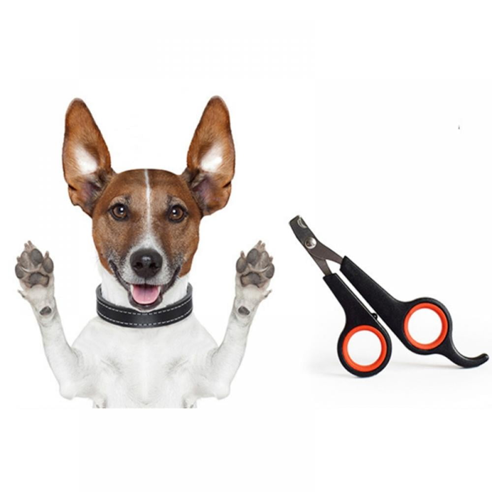 Dog Nail Clippers Easy to Use Dog Nail Toenail Clippers Professional Grooming Tool for Small Medium Dogs Cats 10 8e4d9d5d fae6 4898 805c 158201b87cb0.52934101f63c6c6aa4e99a846334ab14 - easyishop.co.uk