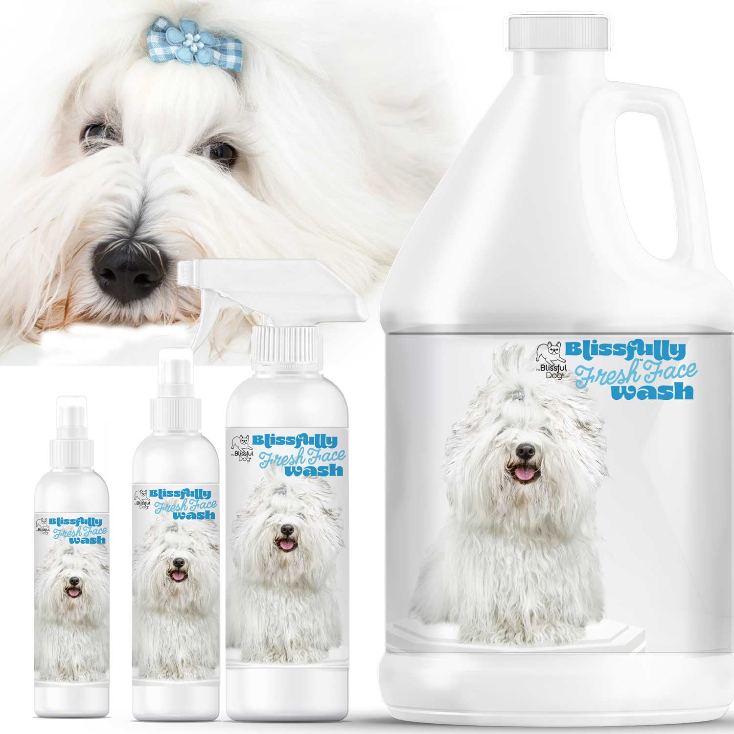 The Blissful Dog Bichon Frise Blissfully Fresh Face Wash for Cleaning Tear Stains, Flat-Faces, Beards, Ear Fringes, Jowls and More I Alcohol & Irritation Free I 8-Ounce Spray Bottle 3 8th Birthday Boy Kids Youth Shirt 8 Years Old Being Awesome T Shirt 88314732 7225 4eeb bbc8 03623eb78294.6fd7f5efec9c5f7ca58a6839e1669374 - easyishop.co.uk