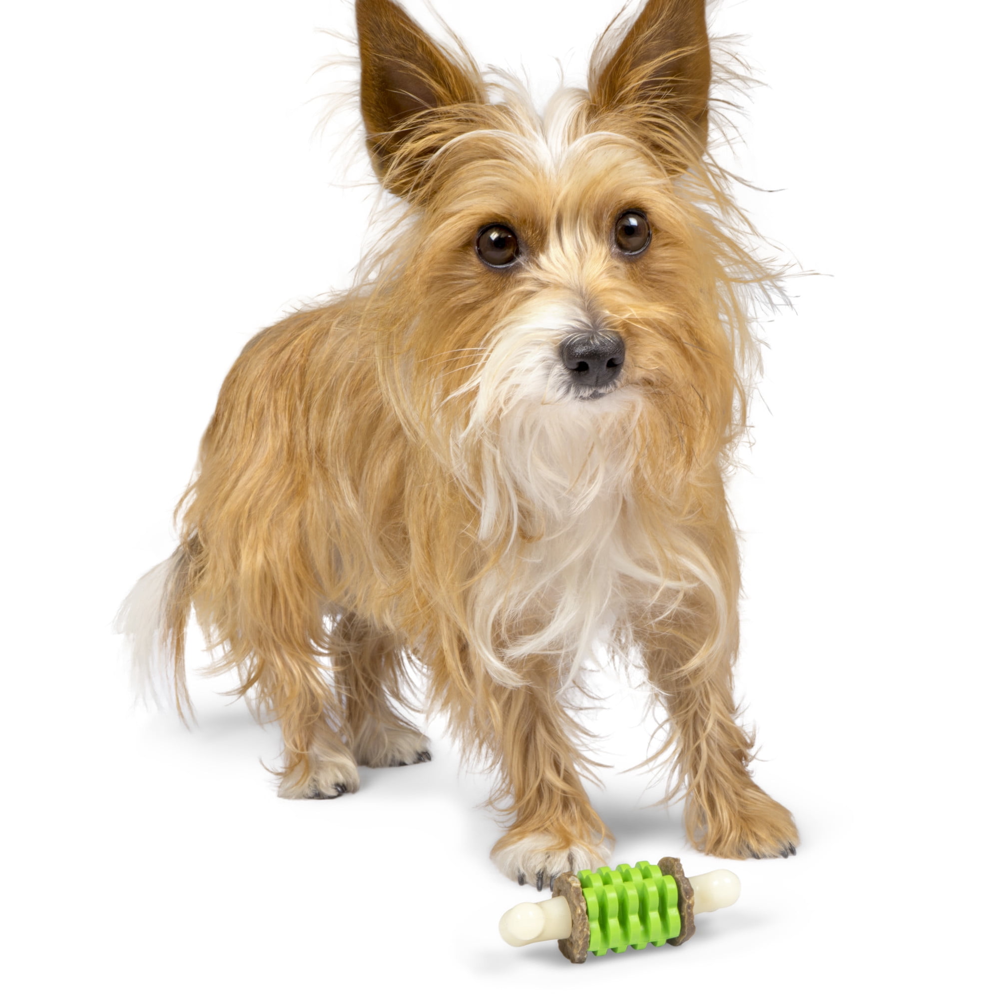Premier Pet Ring Holding Dog Toy For Medium Dogs - Bone With Refillable, Rawhide Chew Rings - Durable Treat and Toy Combo for Long-Lasting Play 9 9154300f cac0 47a9 be46 609c98025cf4.500d6e0029d1f532b17f35050c5bd26b - easyishop.co.uk
