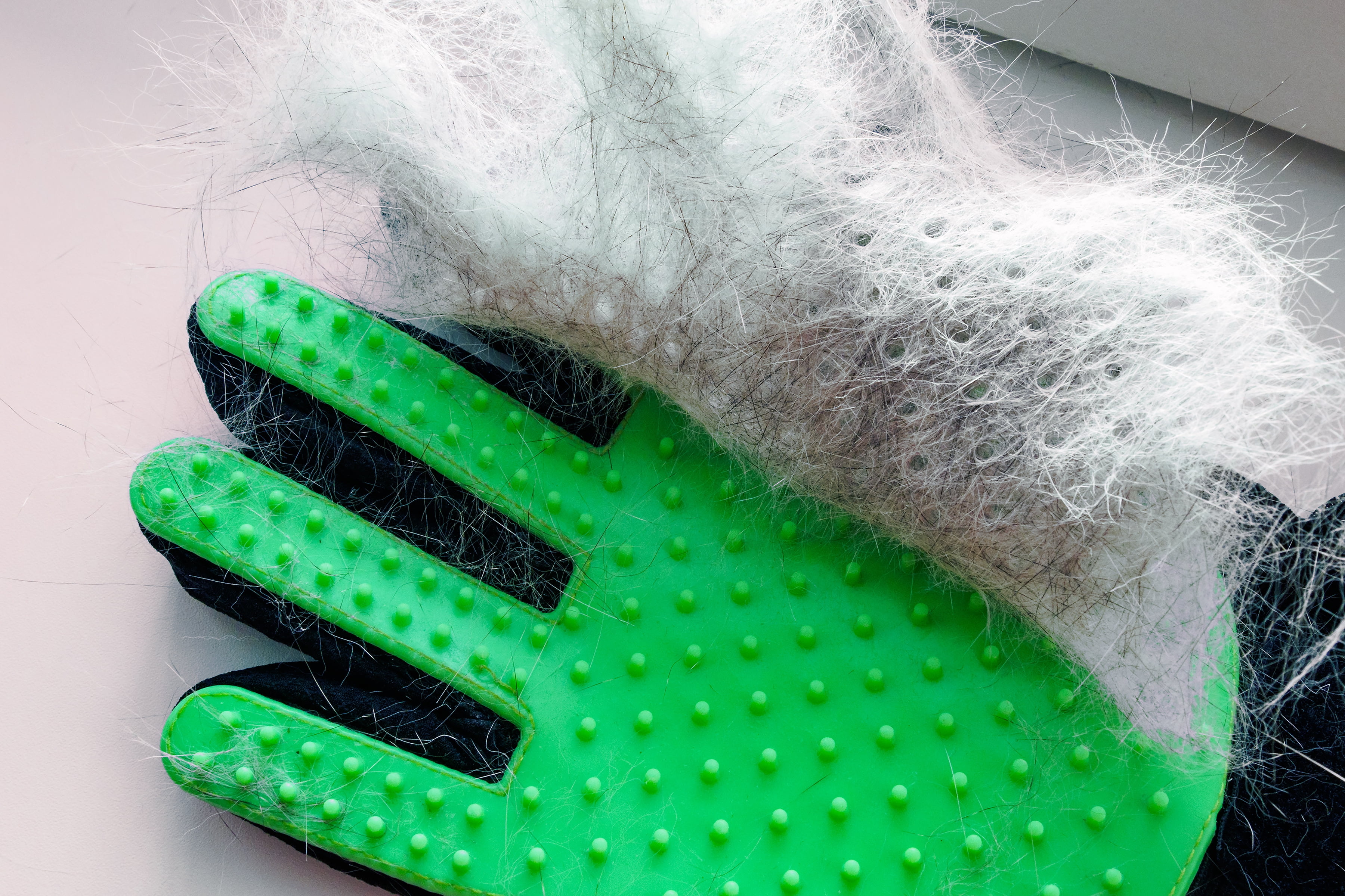 Pet Grooming Gloves (Blue) - Perfect Design for Grooming, Deshedding, Bathing & Massaging Your Dogs & Cats with Long/Short/Curly Fur 1 Pair (Right & Left) 12 93e871de 55b1 4987 affd 31951329d288.c2221ded8c684163da5424f3f3589d48 - easyishop.co.uk