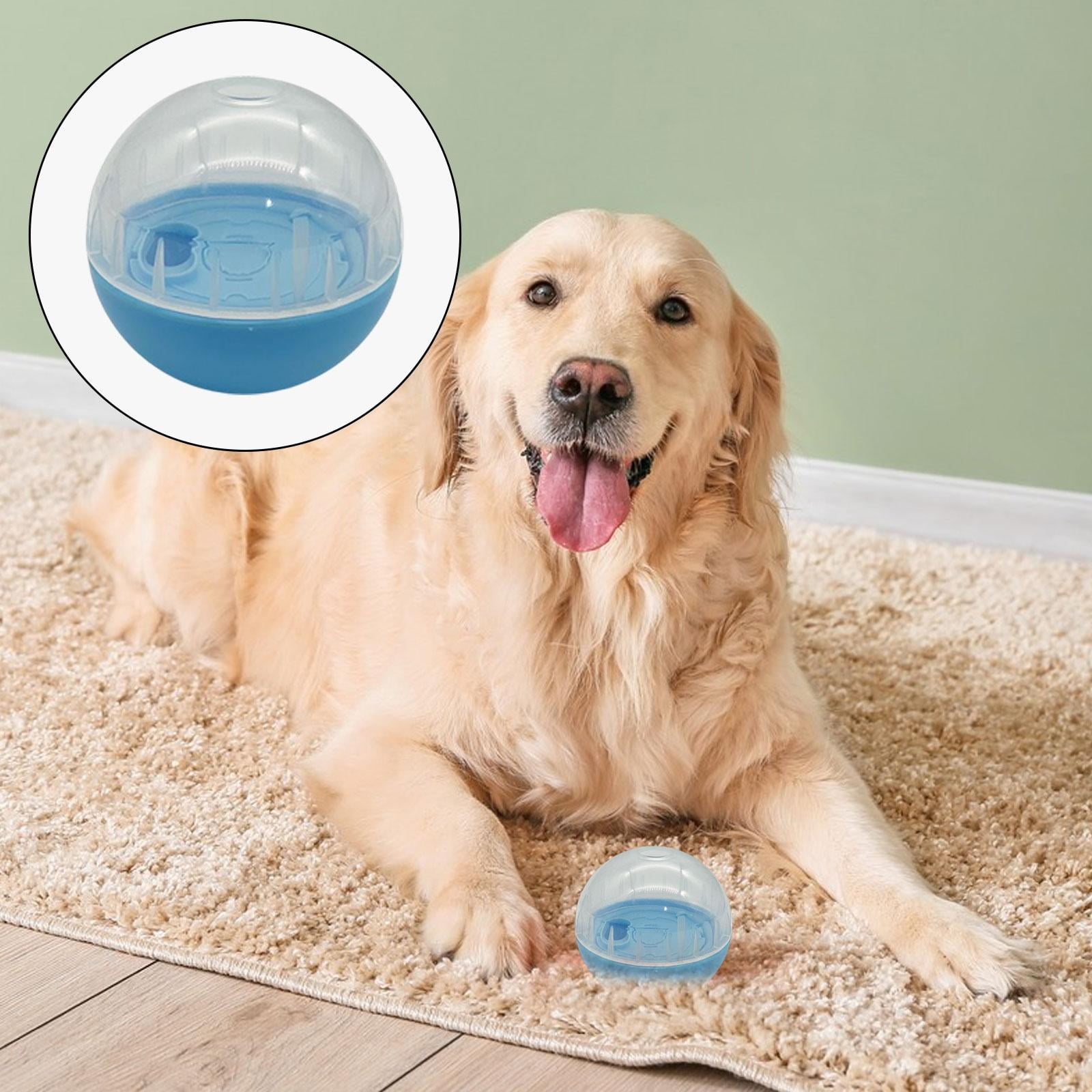 Ball Pet Slow Feeder Food Dispensing Adjustable Dog Puzzles Balls Interactive Dog Cat Toy for Small to Medium Dogs and Cats Blue 6 9559bca9 5e5e 462d 9b55 4499131bd084.ce3289bc213435d455419b2ba4752386 - easyishop.co.uk