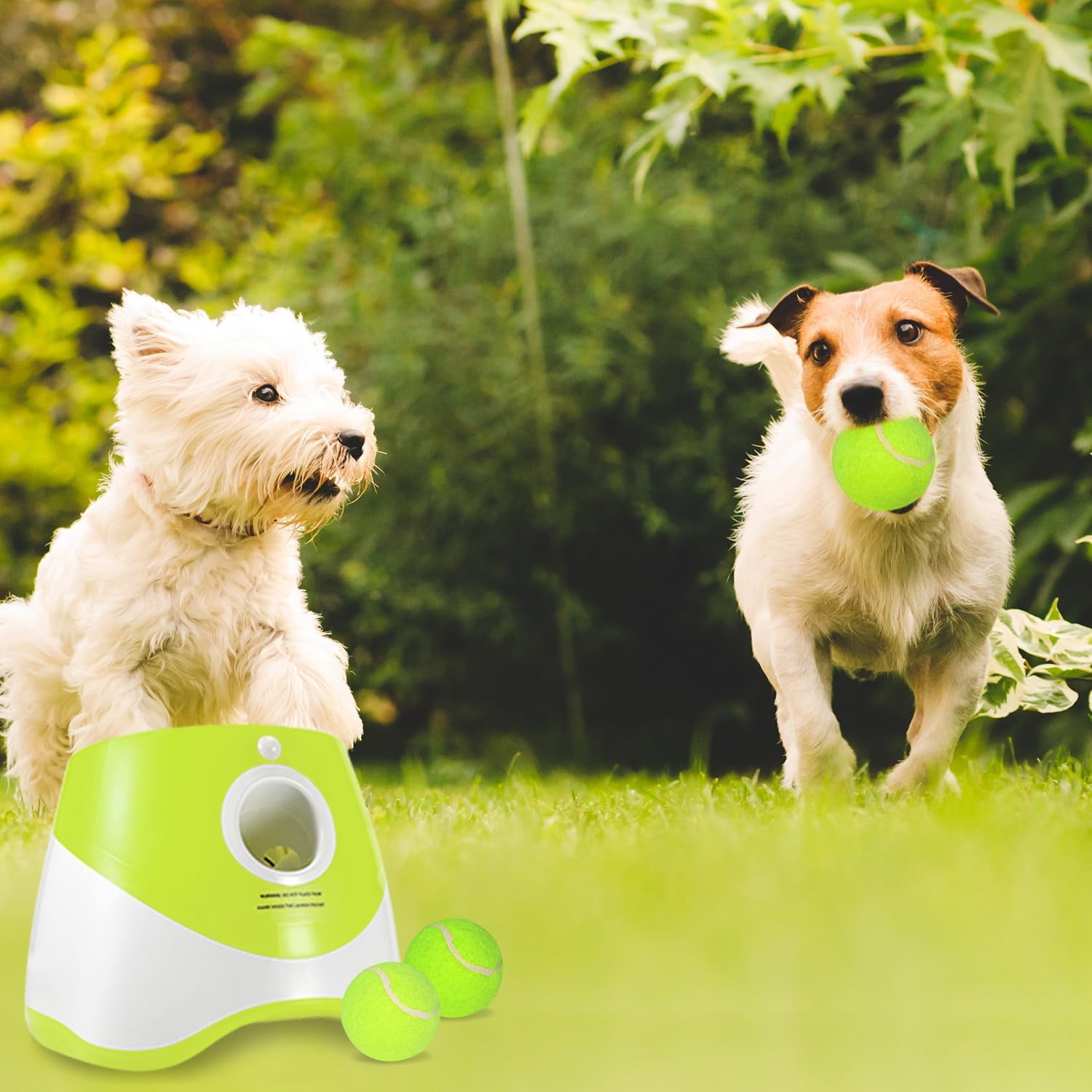Ball Thrower for Dogs,Interactive dog fetch machine,Automatic Tennis Ball Launcher with 12 Tennis Balls,Dog Ball Thrower Machine with 10-30Ft 3 Launching Distance,for Small Dogs Indoor & Outdoor 13 9596cbb0 d613 43e1 ba03 607e76cbb5f5.898d9d5ac7c28b955cc7fc8ed5134976 - easyishop.co.uk
