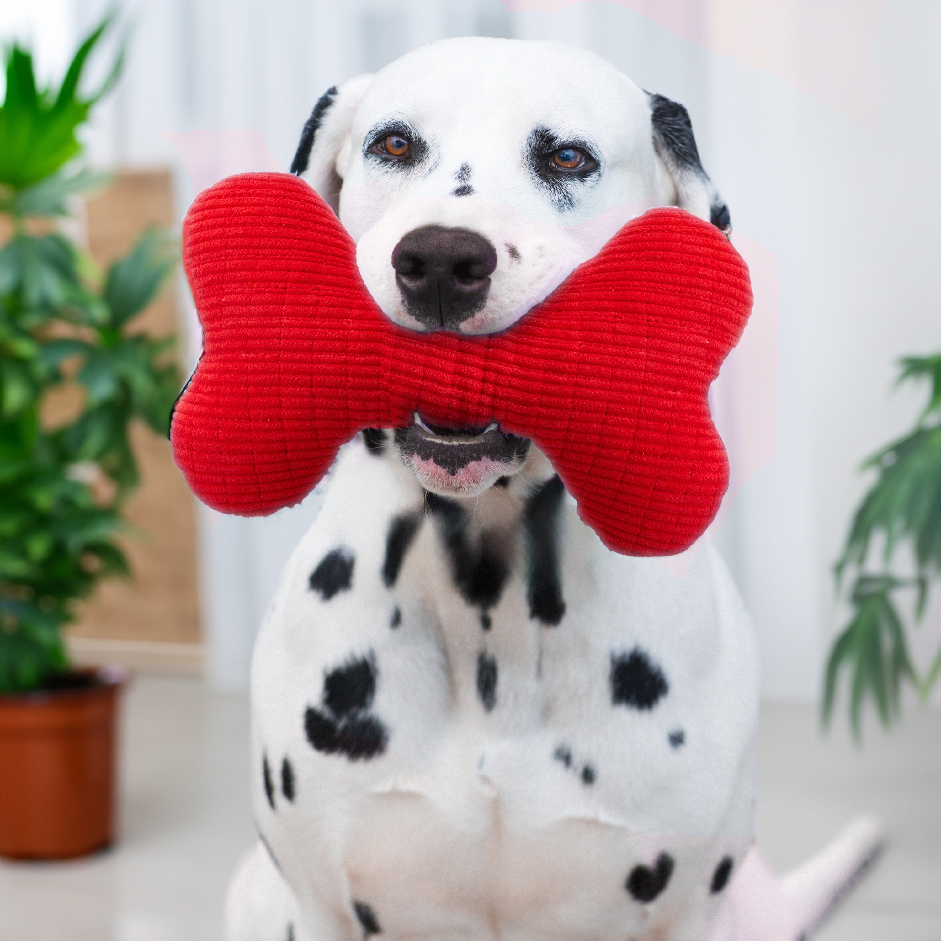 Playology Plush Squeaky Bone | Engaging All Natural Peanut Butter Scented Plush Dog Toy with Interactive Squeaker for Large to X-Large Dogs 50lbs & up | Easy to Clean | Squeak, Chew, Fetch, and Play! 9 998e1d36 1532 4db7 8383 5e1ca36f48ab.9071806eca23b7547601a27ef4a6516c - easyishop.co.uk