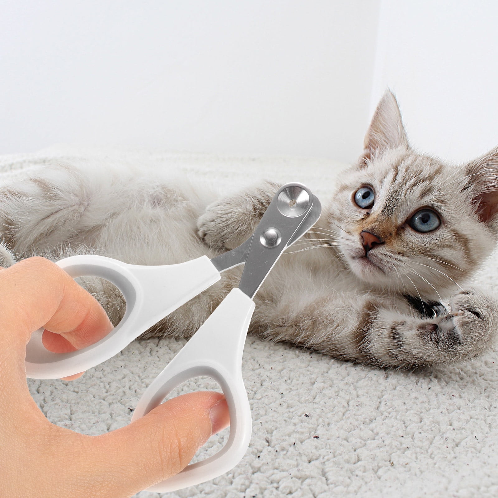 Pet Nail Clippers Dog for Large Dogs Trimmer Paw Household Grooming Tool Stainless Steel 5 9f095f9b 060c 436c a5e0 a07cef5ed4c0.ec2247ffa8a579f9978730171981737d - easyishop.co.uk