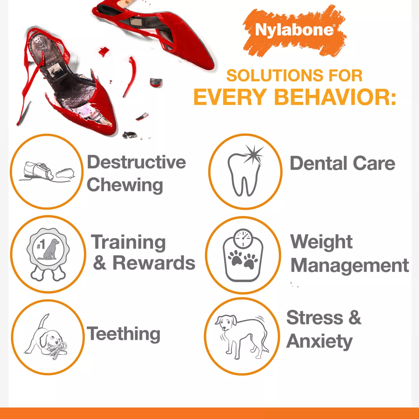 Nylabone® Puppy Teething Keys Chew Dog Toy – Soft Chew Toy for Teething Puppies 3 a35eb52f 3f1f 4d44 9137 1b8daf49a87d.dab5837e8209e22b53ab31aa1edef5f4 - easyishop.co.uk