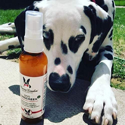 Warren London Dog Sunscreen | Aloe Vera Leave In Conditioner with Sun Protection for Dogs, Puppies, & Pets 6 a4e8e2c2 958f 45db 8aa6 657495833615.9c5743ef0ca0b77ee66fbdc6a320d425 - easyishop.co.uk