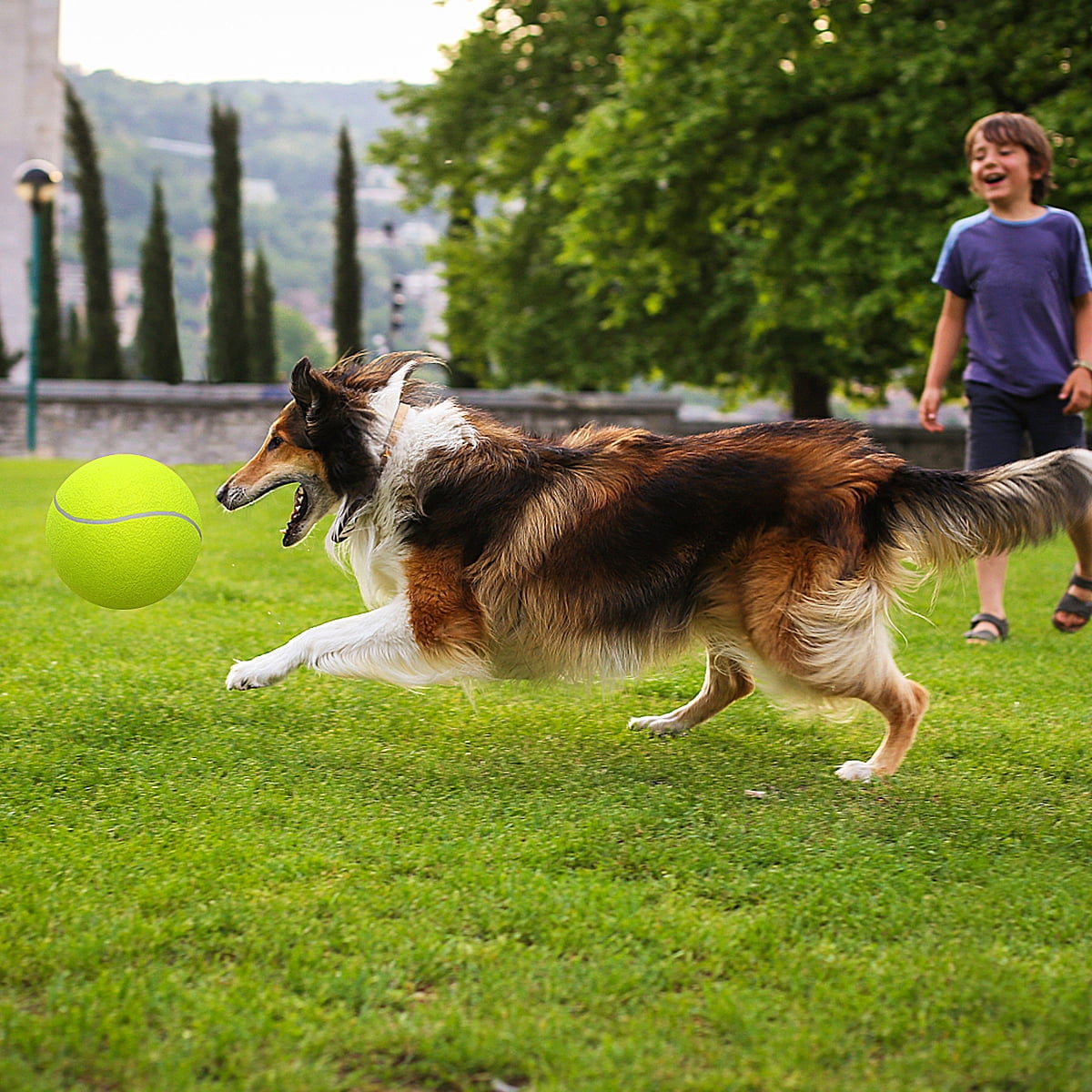 Ball Thrower for Dogs,Interactive dog fetch machine,Automatic Tennis Ball Launcher with 12 Tennis Balls,Dog Ball Thrower Machine with 10-30Ft 3 Launching Distance,for Small Dogs Indoor & Outdoor 18 a8b0a76e 39da 4a17 9126 61952292ca55.eff2006ffb51f034911e1f3e081b5bf5 - easyishop.co.uk