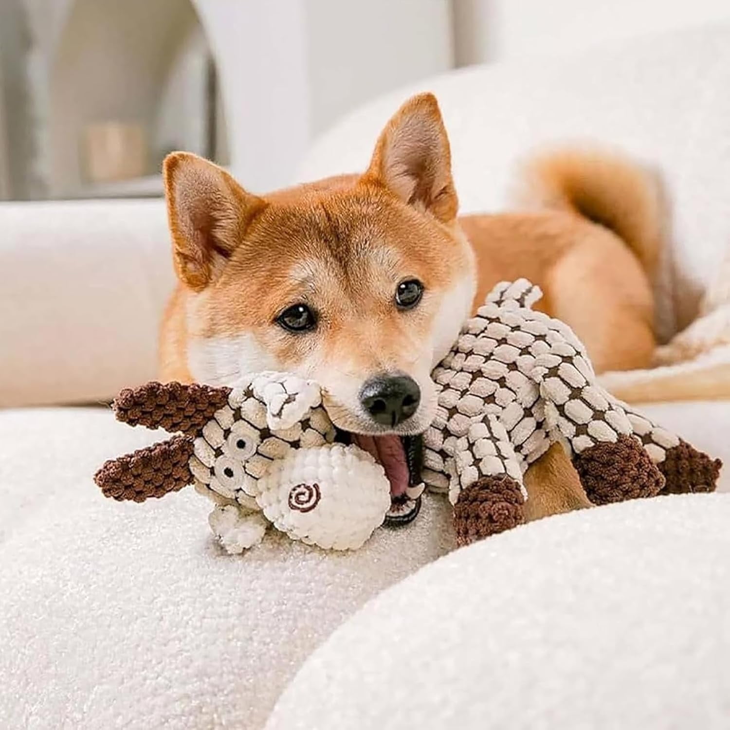 Vianys Bite Buddy, Vianys Bitebuddy, Shirem Bite Buddy, Rechol Bitebuddy, Resistant Squeaky Dog Toys for Heavy Chewers, 2024 New Indestructible Dog Toys 2 aa845d79 0a08 44c6 853a e00e6ded0aed.cd0cf60d215c83e47fe55f17d29cbe55 - easyishop.co.uk