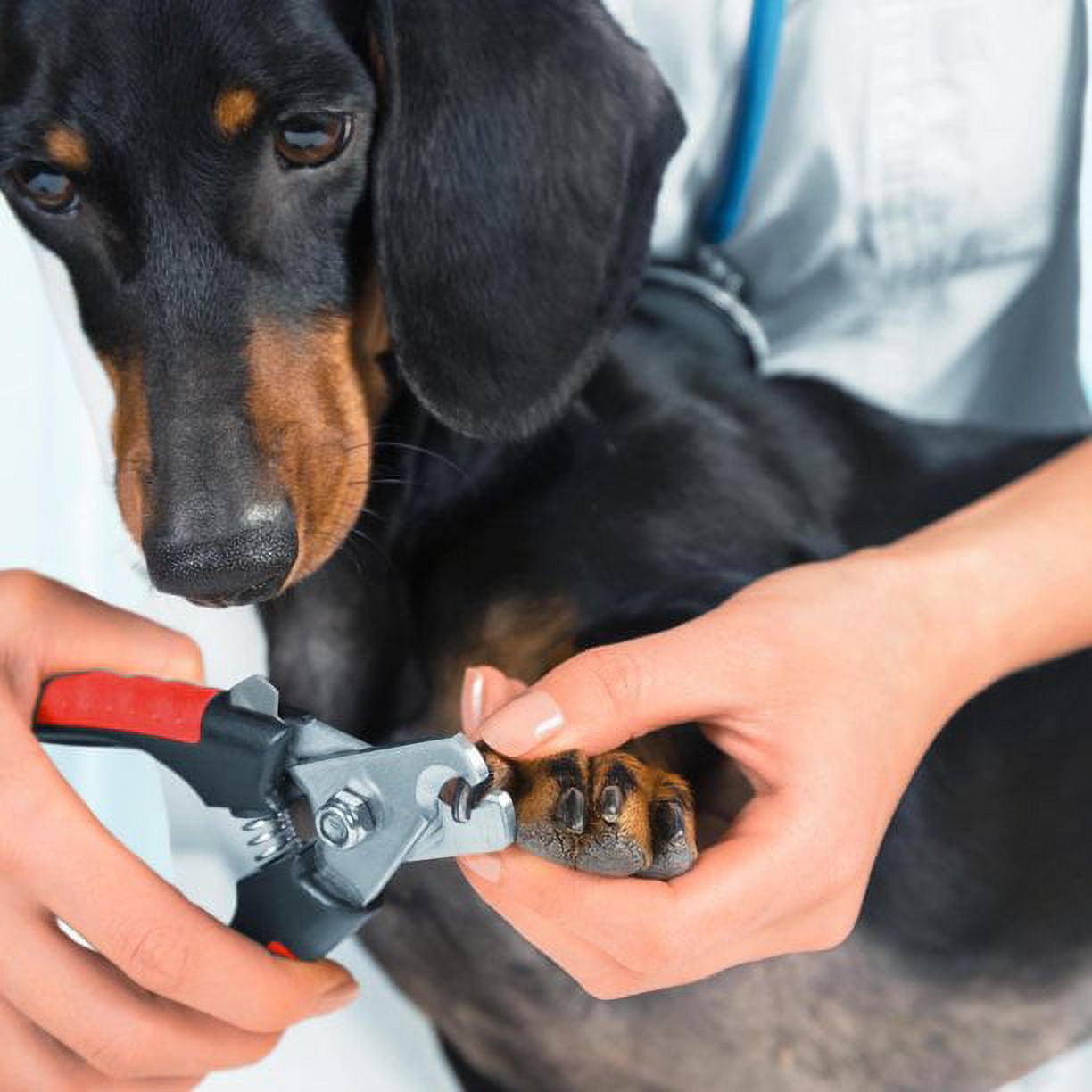 LANMOK Dog Nail Clippers and Heavy Duty Nail Clipper for Large Dogs,Professional Nail Trimmer for Dogs/Cats,Pet-Nail Trimmer with Safety Guard to Avoid Over-Cutting Nails (Red) 3 aae0b130 7d21 42bd 8b61 fe66c62a5f7b.cdb8802fa8fae0713f8f35bd9823eaf6 - easyishop.co.uk
