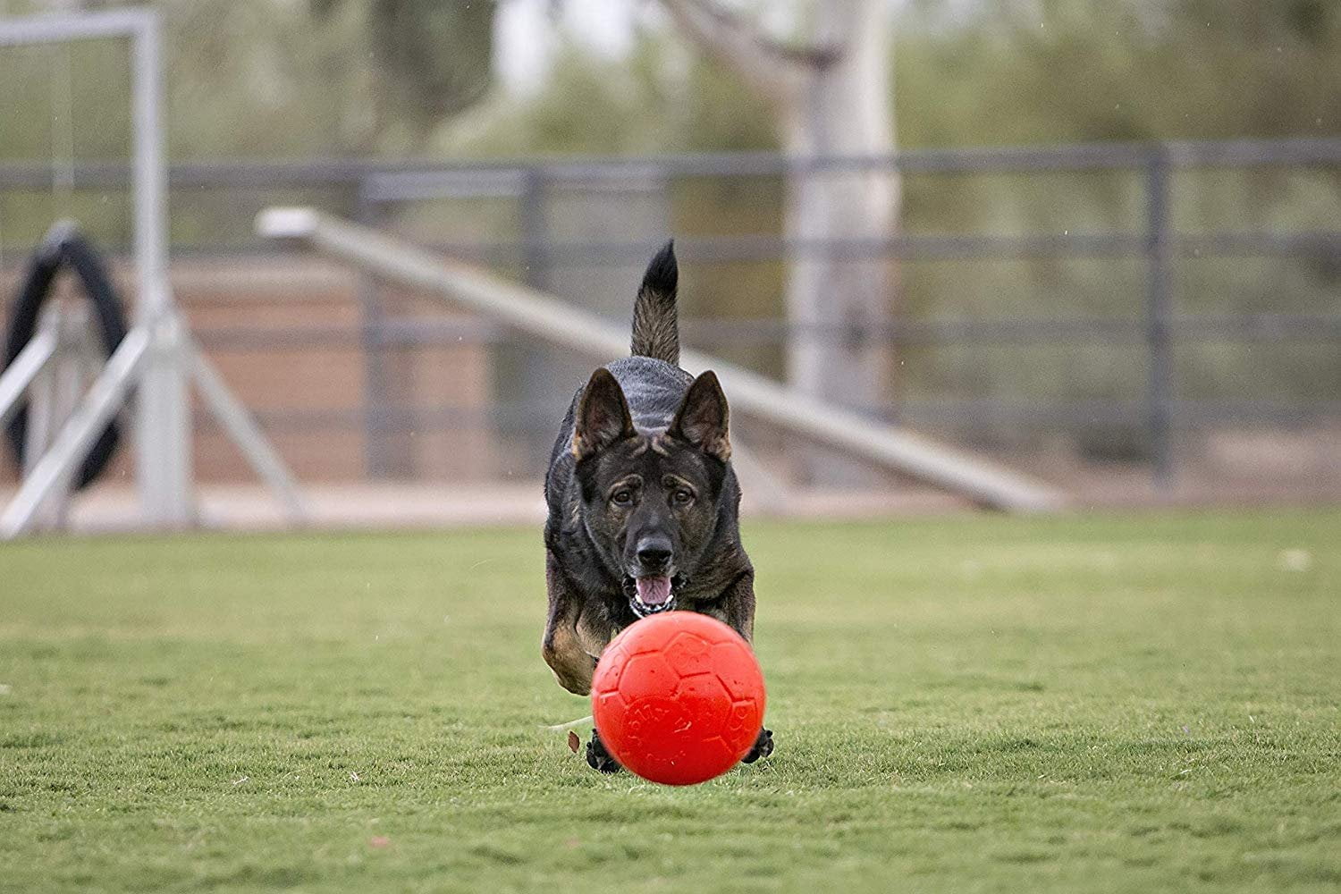 Jolly Pets Soccer Ball Orange 8 inch Vanilla Scented Rubber Chew Toy for Dogs 2 aaecf2a6 124d 4319 af89 6a621905ac00.9a23ff382f779f2995227034782c18bb - easyishop.co.uk