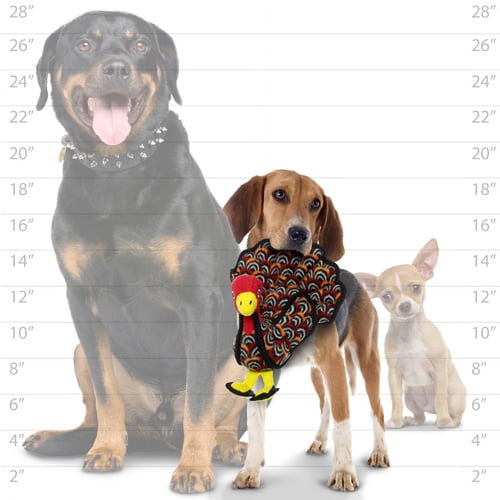 TUFFY® - World's Tuffest Soft Dog Toy - Junior Barnyard Turkey - Multiple Squeakers - Multiple Layers. Made Durable, Strong & Tough. Interactive Play (Tug, Toss & Fetch). Machine Washable & Floats. 4 ab396443 c8a7 40c1 9c07 e840f601bec4.85d9c3eb0446b8b241fe133a67c29e10 - easyishop.co.uk