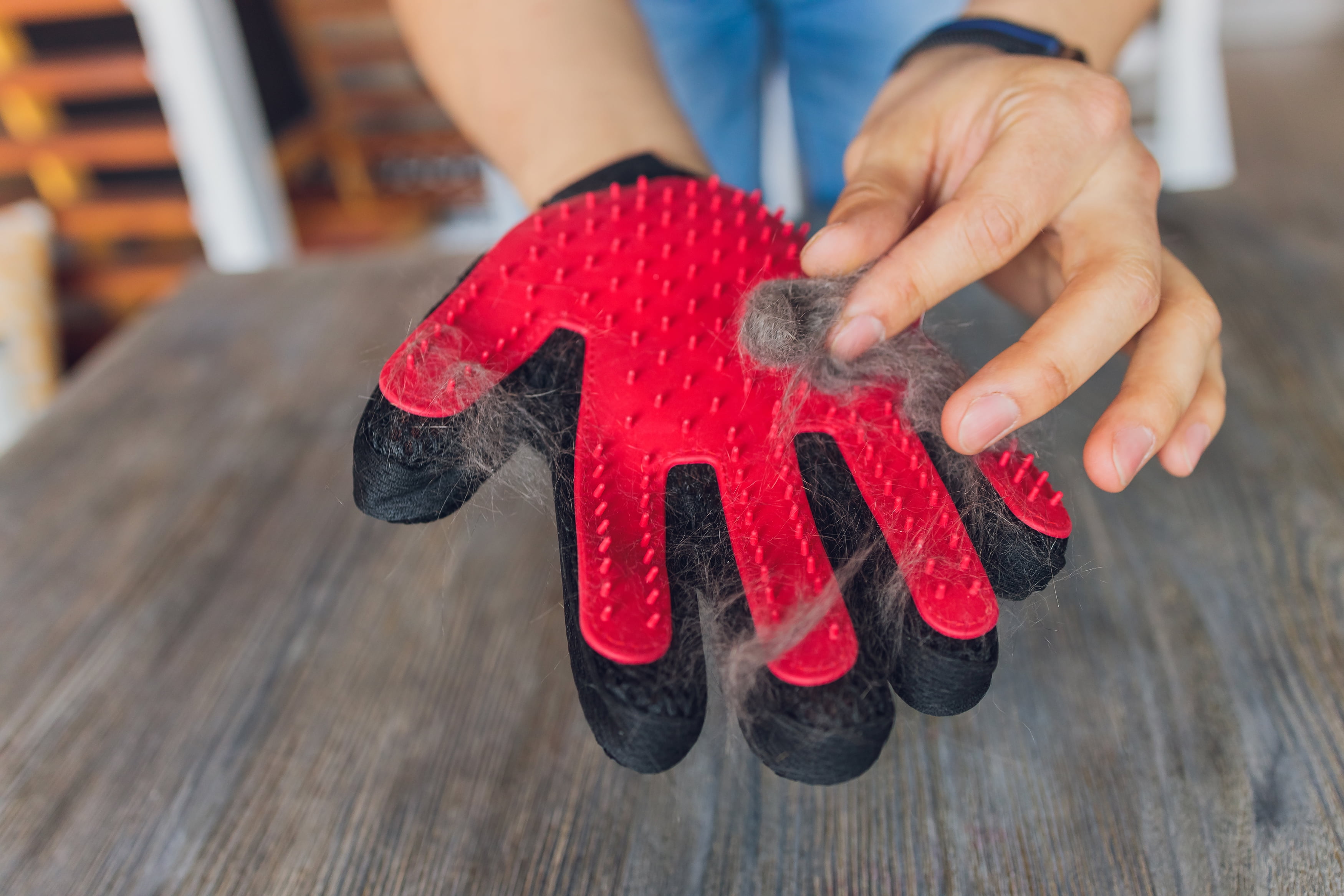 Pet Grooming Gloves (Blue) - Perfect Design for Grooming, Deshedding, Bathing & Massaging Your Dogs & Cats with Long/Short/Curly Fur 1 Pair (Right & Left) 15 acc8a968 d580 4385 b551 40cfc0e5001b.a6ba77f0f01890f235ac5cb517e8b43f - easyishop.co.uk