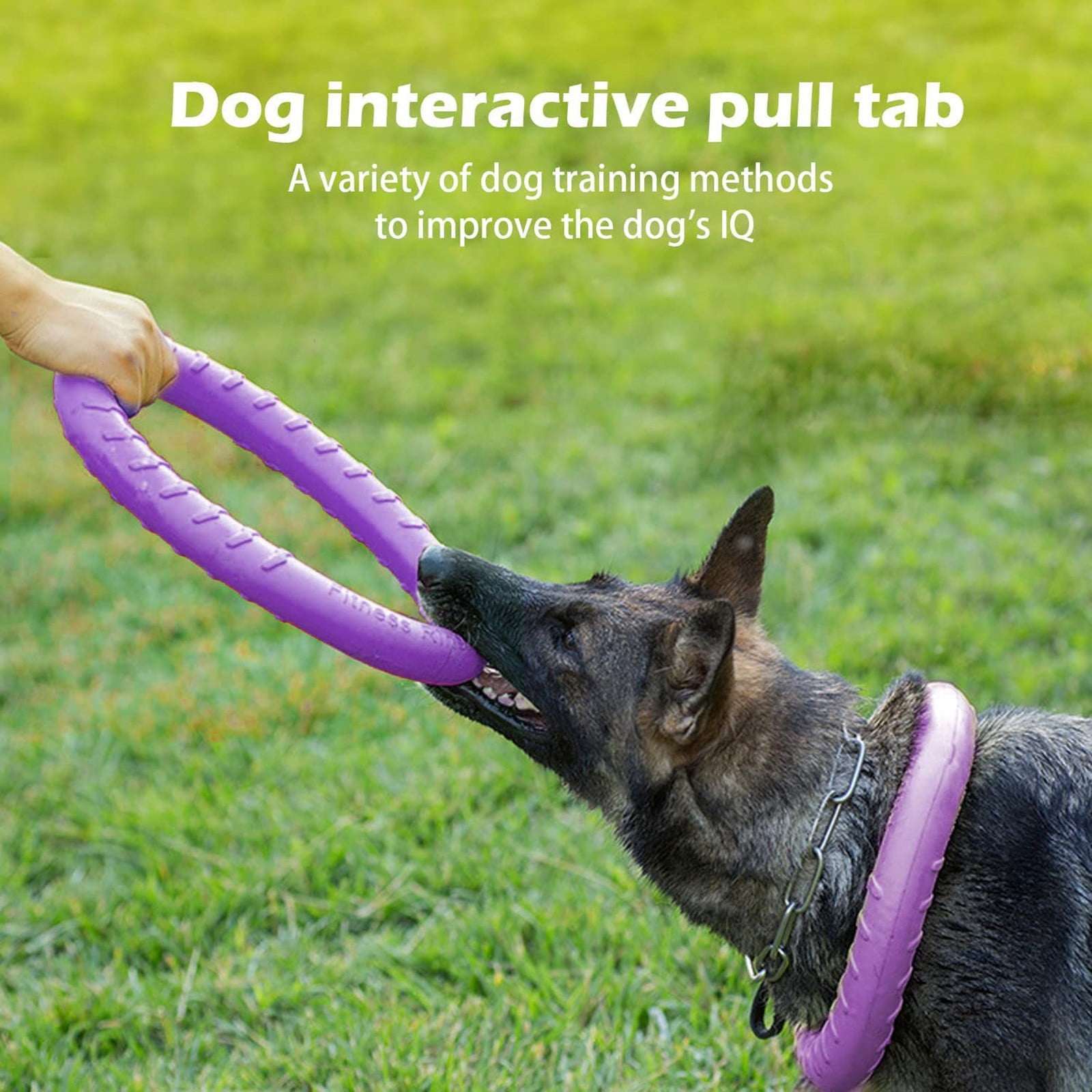 Dog Chew Toy Dog Toys For Aggressive Chewers Floating Dog Ring/ Toys For Medium/Large Breeds Interactive Dog Pool Float Toy For Training And Teeth 5 b031ff8c cfca 43fe 8496 4fbf9c39bc05.c987f35ff4faf667b7febad444af33a0 - easyishop.co.uk