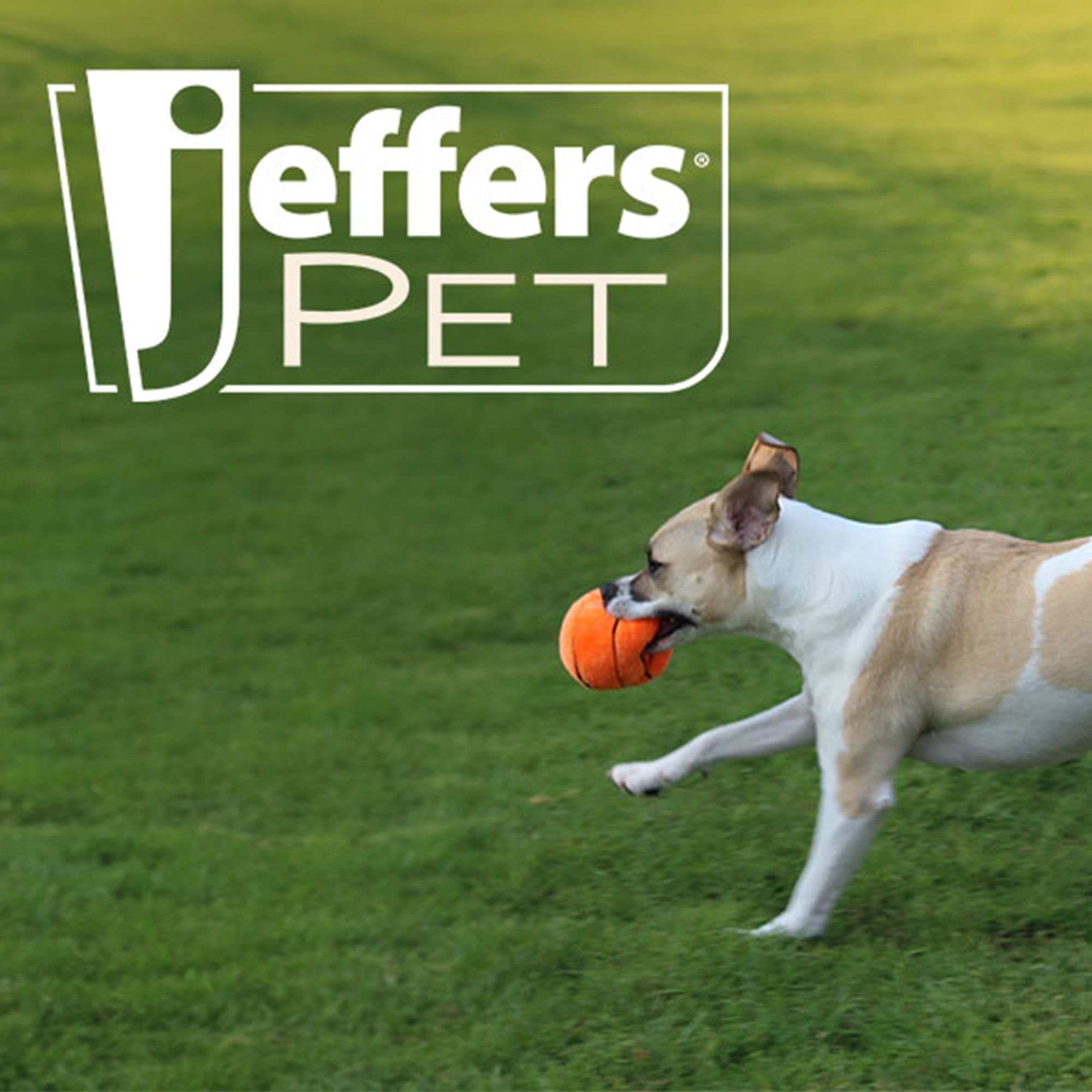 Jeffers Pet Plush Dog Toy with Squeaker, Sports Football 8" - Soft Crinkle Fabric, Safe & Durable, Healthy Fun for Small & Medium Dogs, Interactive Play, Fetch, Tug - Best Gift for Active Games 5 b07e6e15 05fc 47ed 8126 5d6234ce091b.ff6df48908d64009bf16d1d7bfaf18d5 - easyishop.co.uk