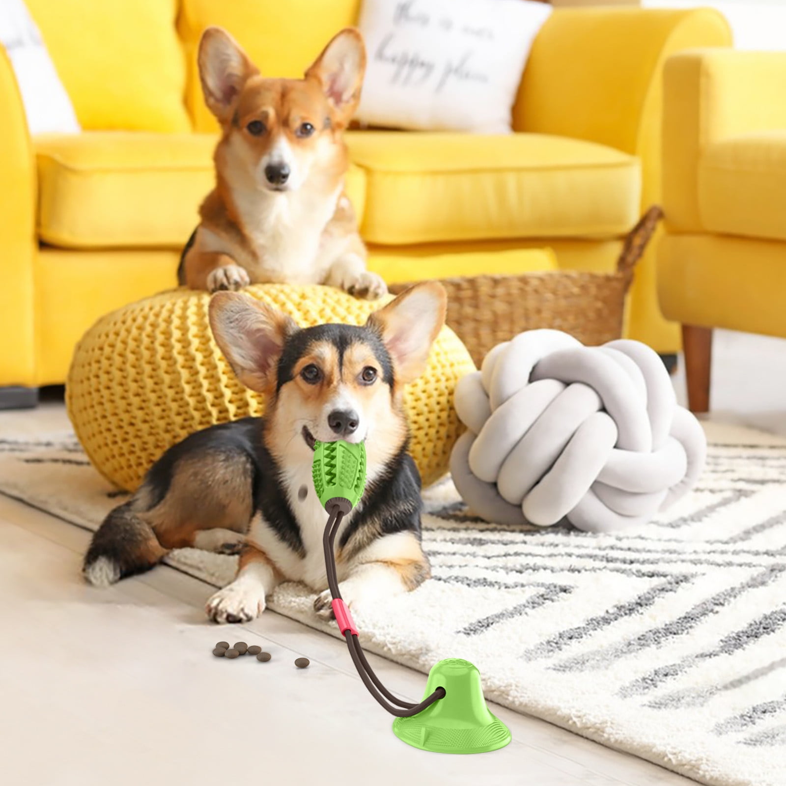 FloHua Back to School Home Essentials Clearance Interactive Dog Toy Bundle Toys For Mental Stimulation And Play Dog Puzzle Treat Food Dispensing Ball Toy For Small Medium Dogs Graduation Gifts 5 b28c5483 44bc 4ff3 8eeb 5ceb43487f19.198aa39bd237bc8fc0d6add68985dbeb - easyishop.co.uk