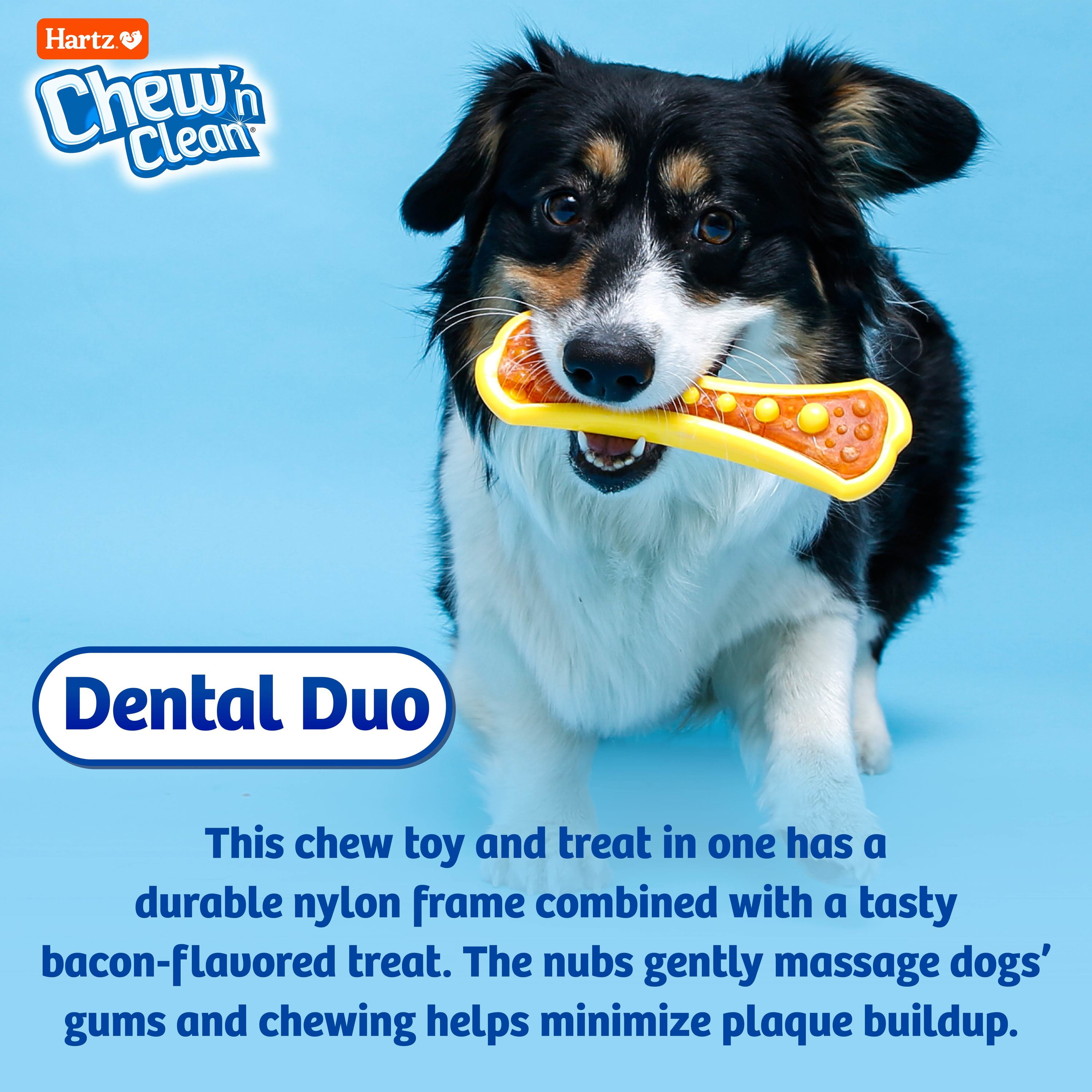 Hartz Chew 'n Clean Dental Duo Bacon Flavored Dog Treat and Chew Toy, XL, Nylon, 1ct 5 b43b6038 498c 4cab b59b 91a1ef724f32.80fde535d35fdaee0caedd7eac3b6973 - easyishop.co.uk