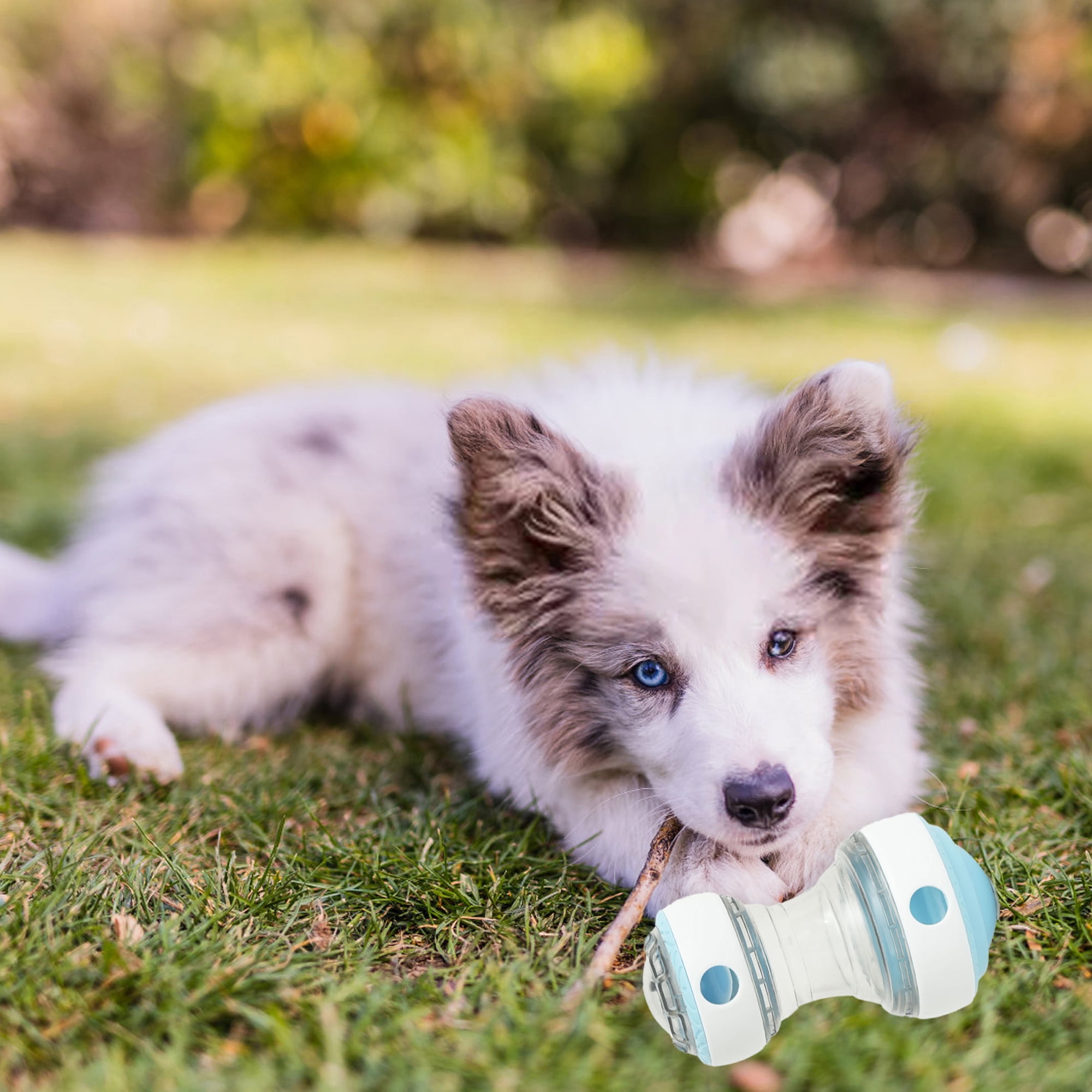 Treat Puzzle Toys for Dogs Bite-Resistant Leaking Food Rotating Dog Treat Dispenser Ball Feeder 14 b486e148 54d4 4576 a63d 27dfd6cbacc4.93b2f9196ed057616e4fe2e5621fdb34 - easyishop.co.uk