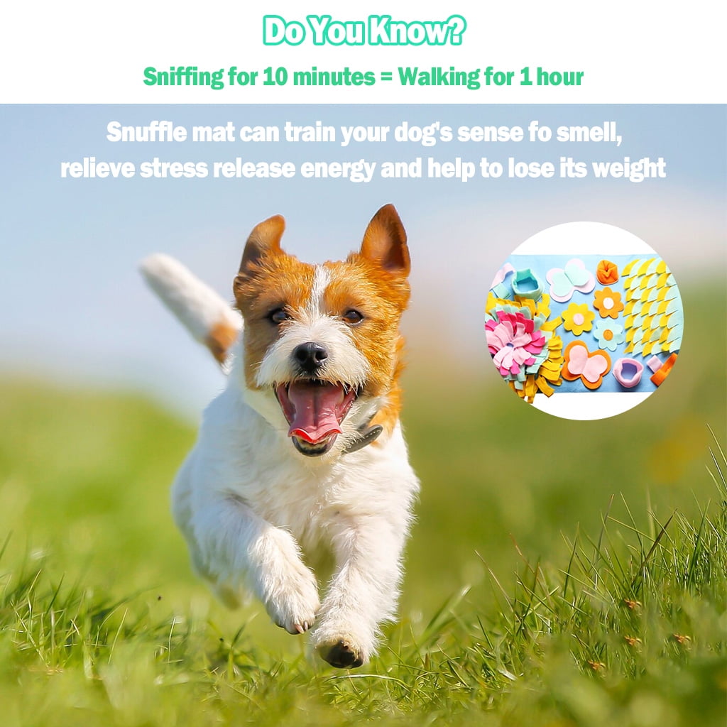 vocheer Snuffle Mat for Dogs, 36" x 36" Nosework Feeding Mat Encourages Natural Foraging Skills 13 bad1ae3b d0f4 4473 ad3d feb3a008f42a.779fc352050ea1014bddc31e239c96e0 - easyishop.co.uk