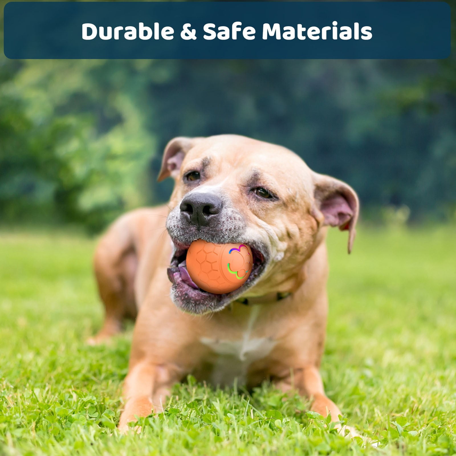Qinghuai Peppy Pet Ball for Dogs, Dog Interactive Toys Dog Ball,Motion Activate Rolling Ball for Puppy/Small Dogs, Automatic Moving Dog Toy,USB Rechargeable 14 bcd2f7ca f235 4a3c 9df9 0995d818d8ba.8abf440de444fec7e0c15438c2a5b645 - easyishop.co.uk