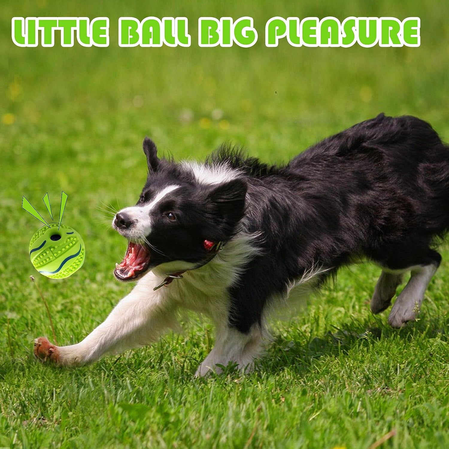 Wobble Giggle Ball for Dogs Spiky Dog Ball Interactive Pet Toy Funny Giggle Sounds Teeth Cleaning Playing Training Herding Balls for Medium Large Dogs Gift 7 c5aa589e cf65 4d9e b77a d2ce5cbefb2c.8766eb68ab99244161e1a7f10c9e3a1c - easyishop.co.uk