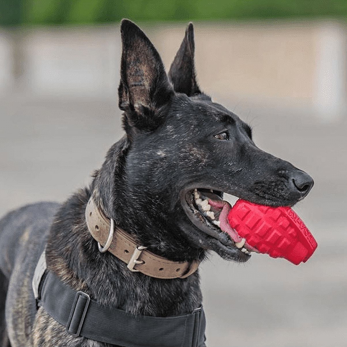 USA-K9 by SodaPup - Grenade Natural Rubber Chew Toy - Treat Dispenser - Slow Feeder - Extra Large - Pink 4 c5c63df1 8e22 4a37 806b 5edf953e85e5.77ffe203c59fc9ec5cd368b6556d72fe - easyishop.co.uk