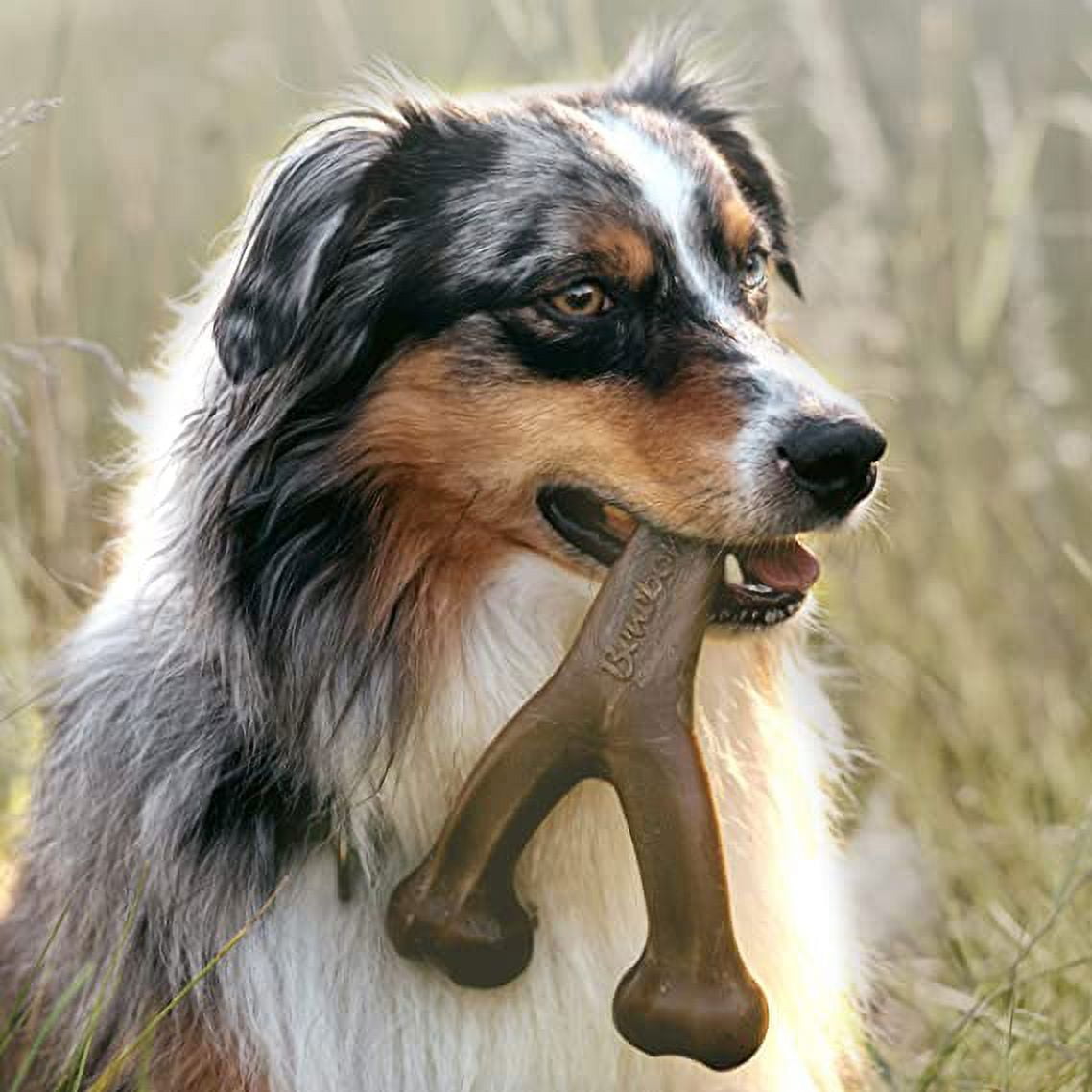 Benebone Wishbone Durable Dog Chew Toy for Aggressive Chewers, Real Flavors, Made in USA 5 c68ce13d d9c2 4ff6 9bad f597fbde2c7e.3d35b044f241fa58161a76ec51a7cfb1 - easyishop.co.uk