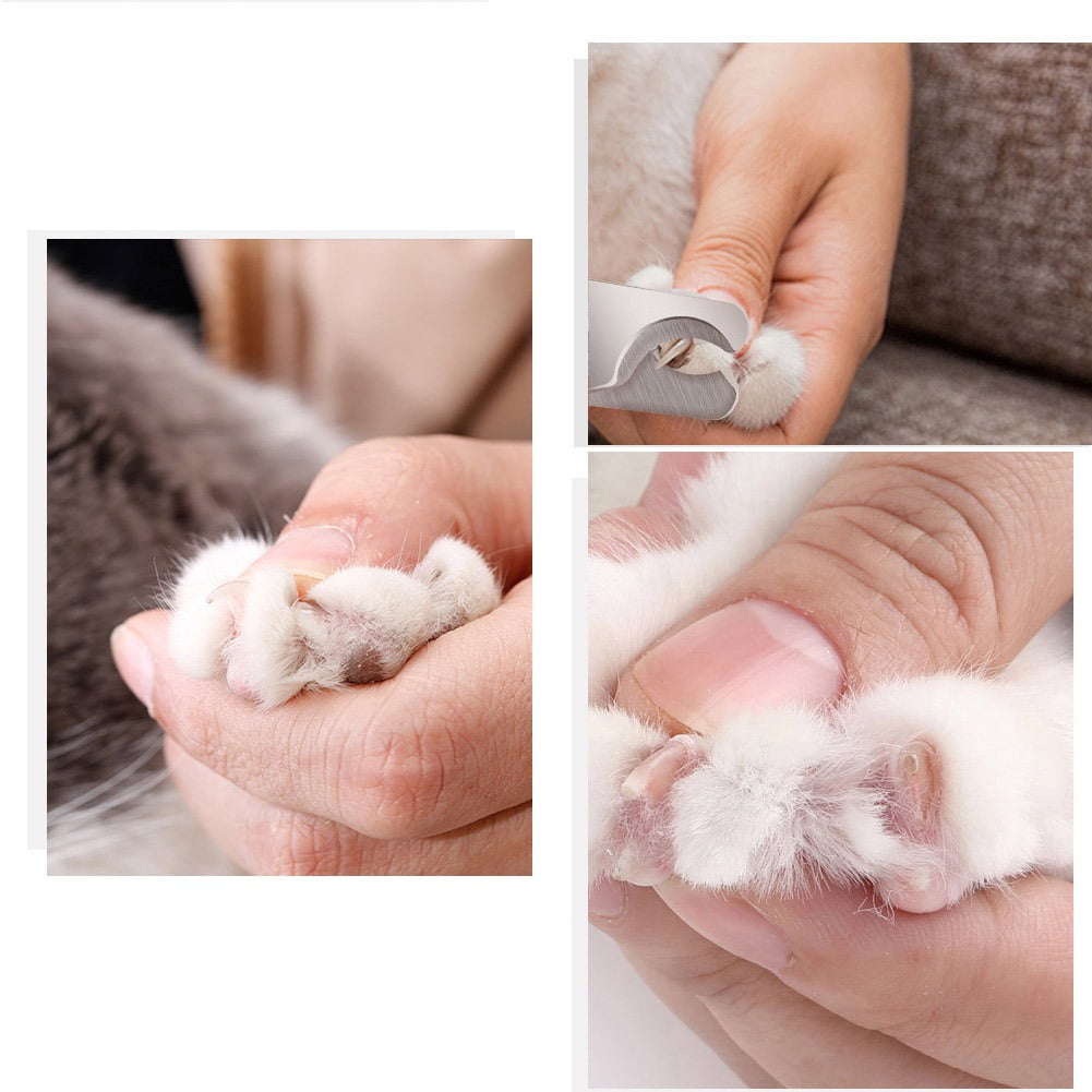 URMAGIC 1Pcs Pet Stainless Steel Nail Clipper,Dog Cat Claw Cleaning Safety Grooming Scissor-Small Size 15 c6f19421 49dd 4e21 b6a3 aa4e34162dd9.0edcd8d0ee33083744470b364fa1e881 - easyishop.co.uk