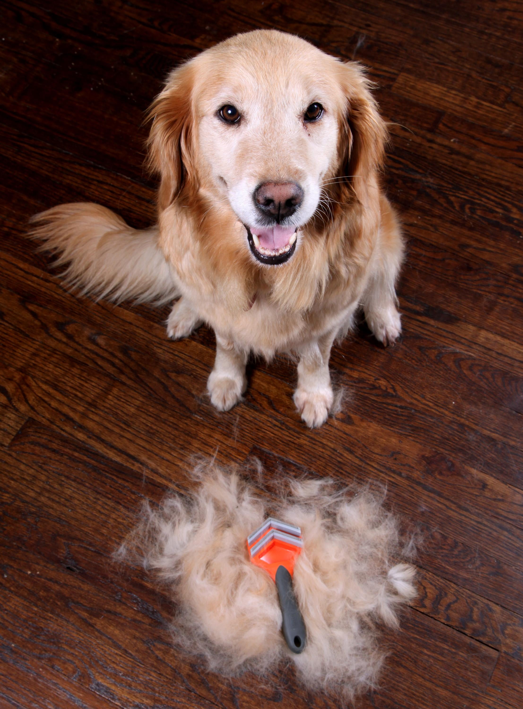 Hartz Groomer's Best Fur Fetcher De-Shedder Grooming Brush for Dogs 3 c6f5065a c1eb 4bca 8895 02707dbb2abf.6869ea1a3f9c3a94398f7d4cc55a2475 - easyishop.co.uk