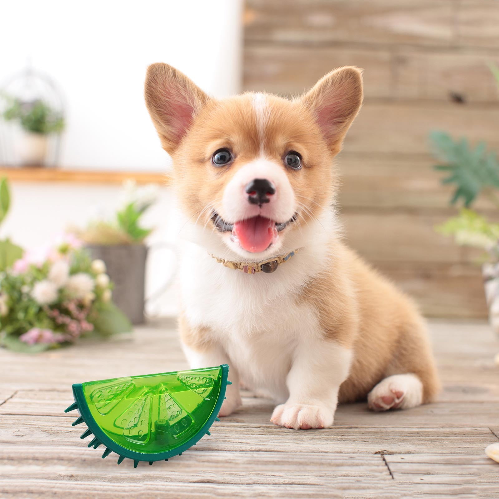 3 Colors Puppy Chew Tough Dog for Aggressive Chewers Large Breed Toys for Teething Non Big Dog for Large Dogs Spikey Dog Balls for Medium Large Small Dogs Durable Dog Toys for Aggressive Che Medium 14 cc309afe 2198 475e ac16 d48add55a09a.dcb00dadbe8cfcba510d62003950c721 - easyishop.co.uk