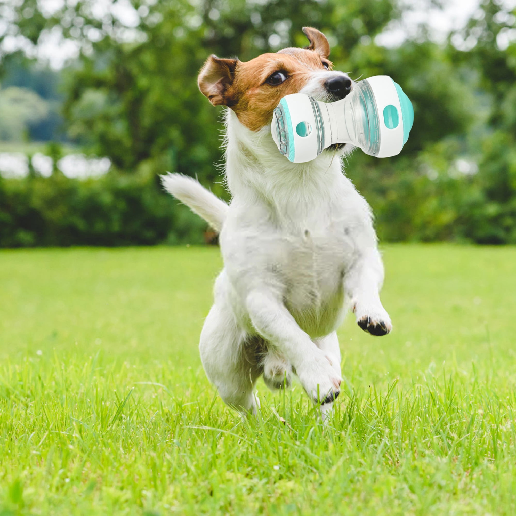 Treat Puzzle Toys for Dogs Bite-Resistant Leaking Food Rotating Dog Treat Dispenser Ball Feeder 20 d0816669 3c6c 43b8 bcc5 703b3f0975ee.d608126b99f24f9c0c8a2aedc0d01a50 - easyishop.co.uk