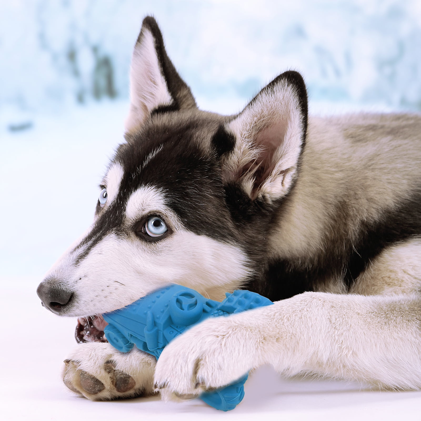 MASBRILL Squeaky Indestructible Durable Dog Chew Toys for Teething Non-Toxic Natural Rubber Interactive Dog Toys 3 d8c087ec 80d0 4413 9660 0dd65d35e646.ddb010ce70dfe271ff6361767ba00748 - easyishop.co.uk