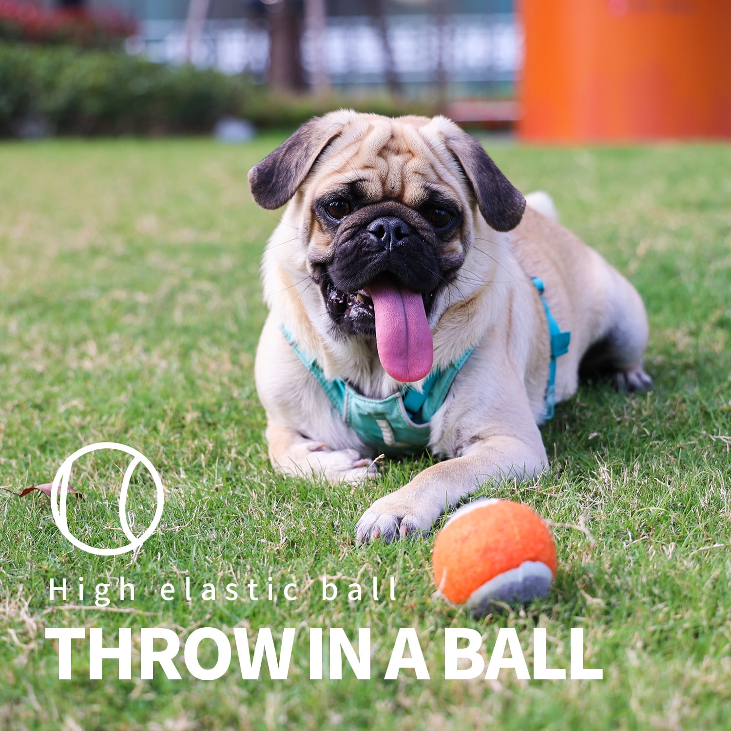 PAWISE Dog Ball Thrower, Fetch & Play Tennis Ball Launcher Toy for Dogs 7 d90ca805 b53e 454f 9fb0 45527ab35b43.db1809dc9dd55cf9a02de70a13cf531e - easyishop.co.uk