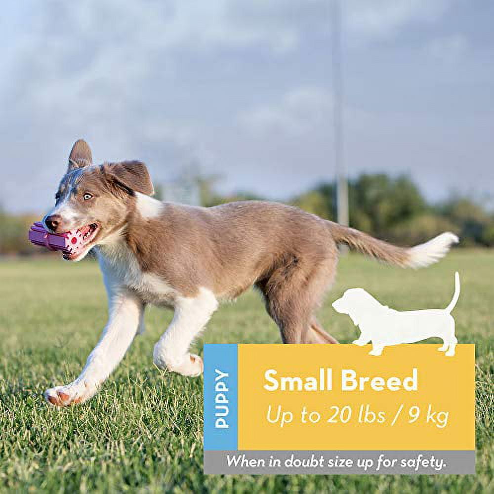 KONG - Puppy Teething Stick - Teeth Cleaning Dog Chew Toy (Assorted Colors) - for Small Puppies 2 da90e046 297d 4c52 9937 c8ea9e7cf675.d77a59d2da9bca0b60525f3ada56c9d9 - easyishop.co.uk