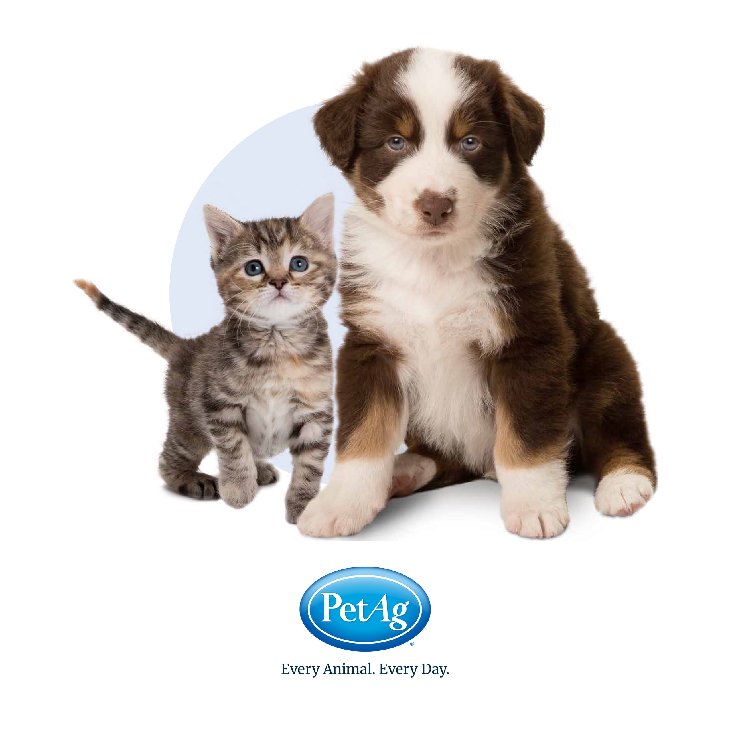 PetAg Fresh 'n Clean Oatmeal 'n Baking Soda Dog Conditioner - Tropical Fresh Scent - 18 fl oz 6 df8a51ee cbee 4e3a 8ae6 c89648d9e30a.b2582e0a651bd672e061bee127b95649 - easyishop.co.uk