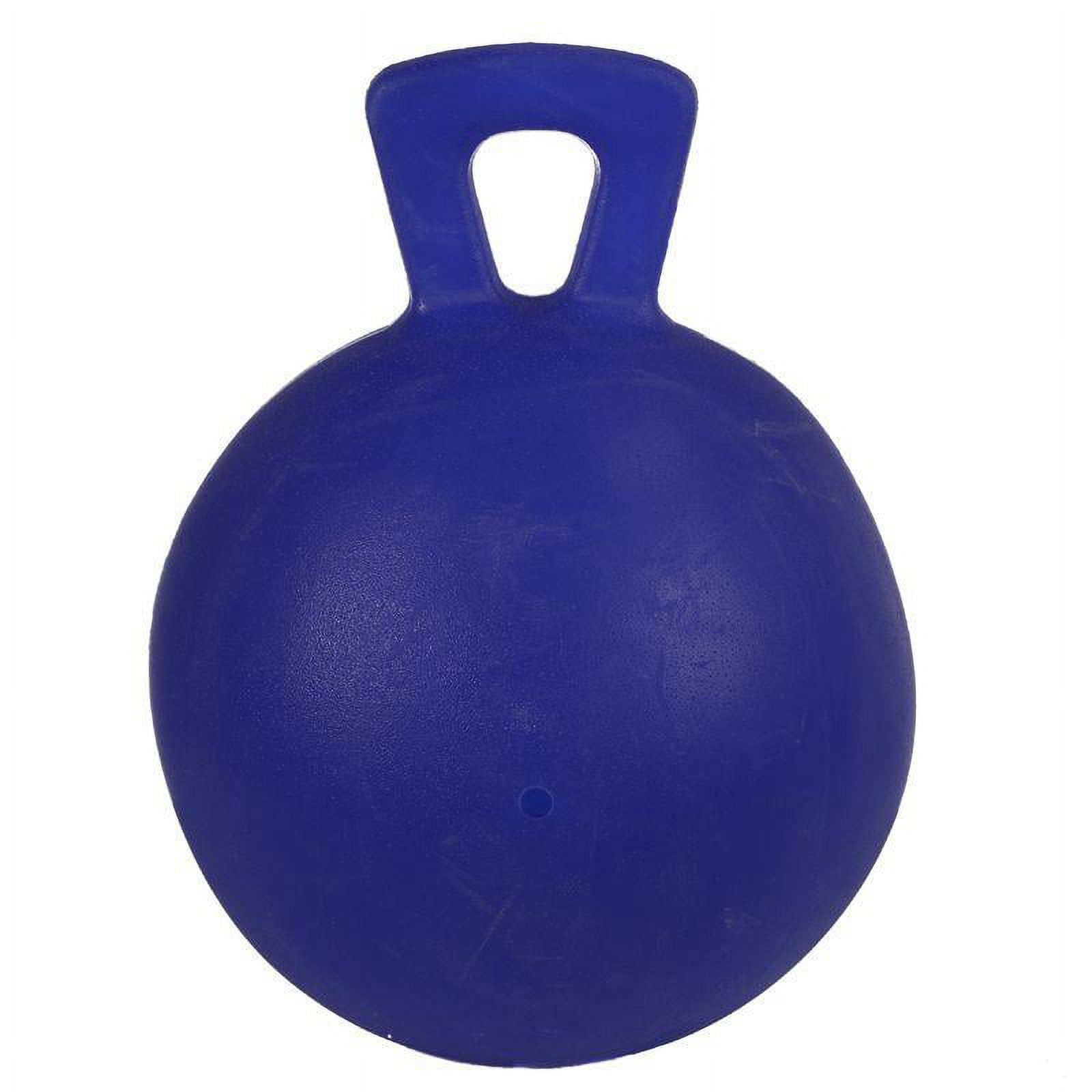 Jolly Pets 410P Tug-n-Toss Horse Jolly Ball™ for Dogs/Horses, 10", Peppermint 4 e055a899 0705 4d91 96d0 690d14343203.d84111565ef8fca673662af997f12306 - easyishop.co.uk