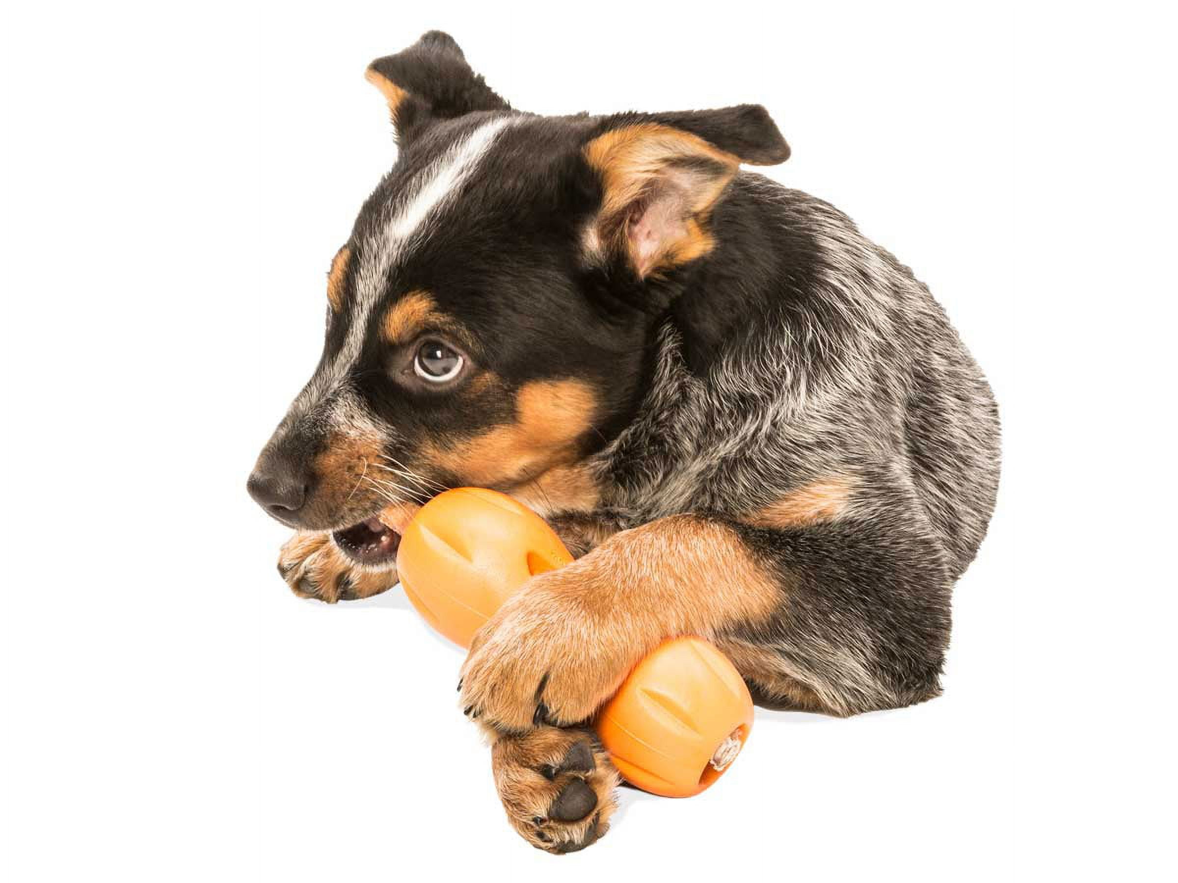 West Paw Zogoflex Qwizl Small 5.5" Dog Toy Tangerine 5 e25f9863 f5a2 4e8f a928 30b8253b4d23.7a98af84e72d4ff3b5aeb634f983d05d - easyishop.co.uk