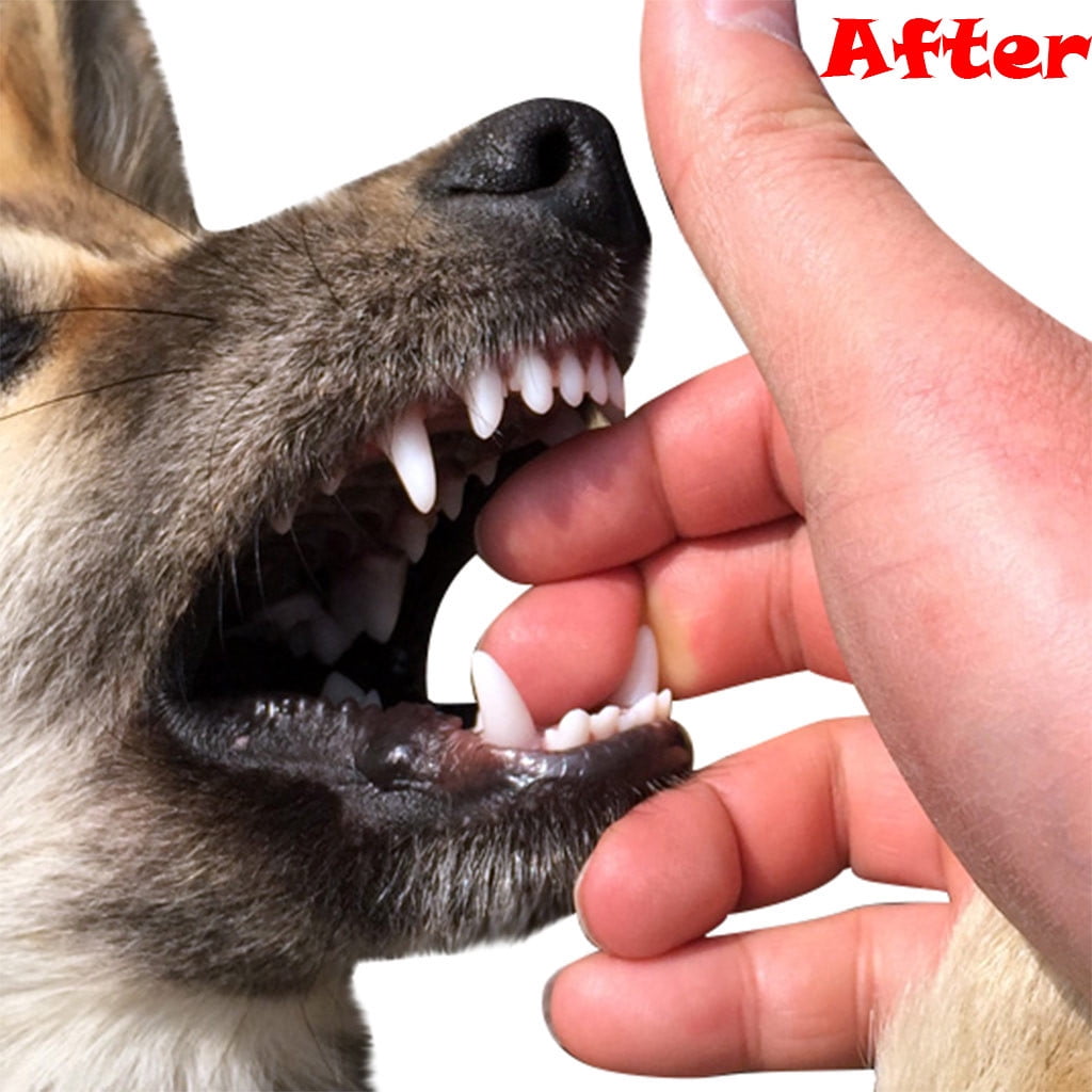 IMossad Pet Dog Chew Toys for Aggressive Chewers - Durable Rubber Training and Tooth Cleaning Molar Toy with Treat Dispenser 9 e299d614 91e8 42f2 8b8d 9896693e227b.576c22926a879b8a08e4b49559d57599 - easyishop.co.uk