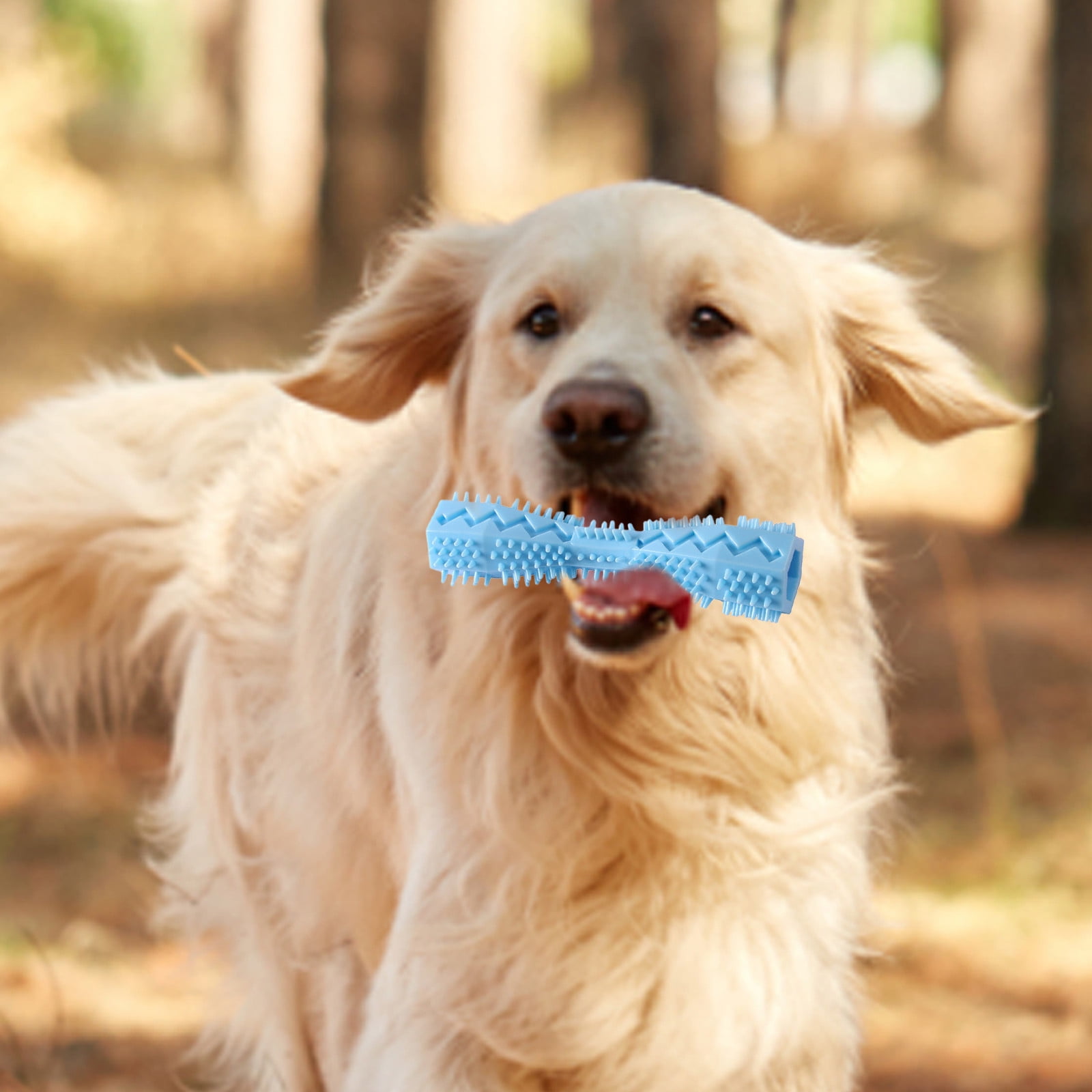 JTWMY Hexagonal Pet Molar Tooth Cleaner Toy for Puppies & Small Dogs, Blue 14.2cm 8 e3ea8add a15f 4050 939f ff19d9af3ef9.10a486caca6cae4edf91cfbde8ebe6a6 - easyishop.co.uk