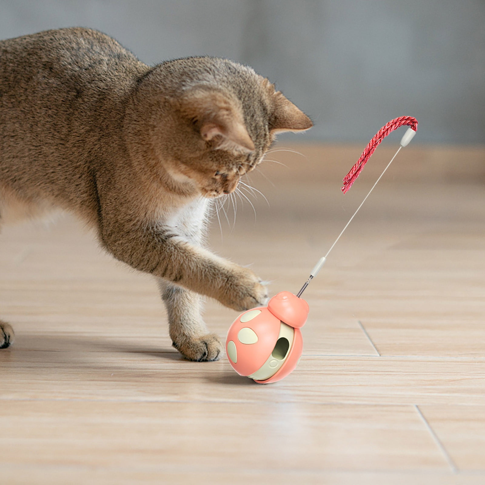 ZKCCNUK Kids Toys Interactive Pet Toy Treat Dispenser Rolling Interactive Pet Ball with Food Spill and Teaser Stick for Boredom Indoor Toys on Clearance 11 e60d5aa1 6a10 4e98 b00e d9fb8c01985d.ccade4d84a16274bd1ae2d7d980d4618 - easyishop.co.uk