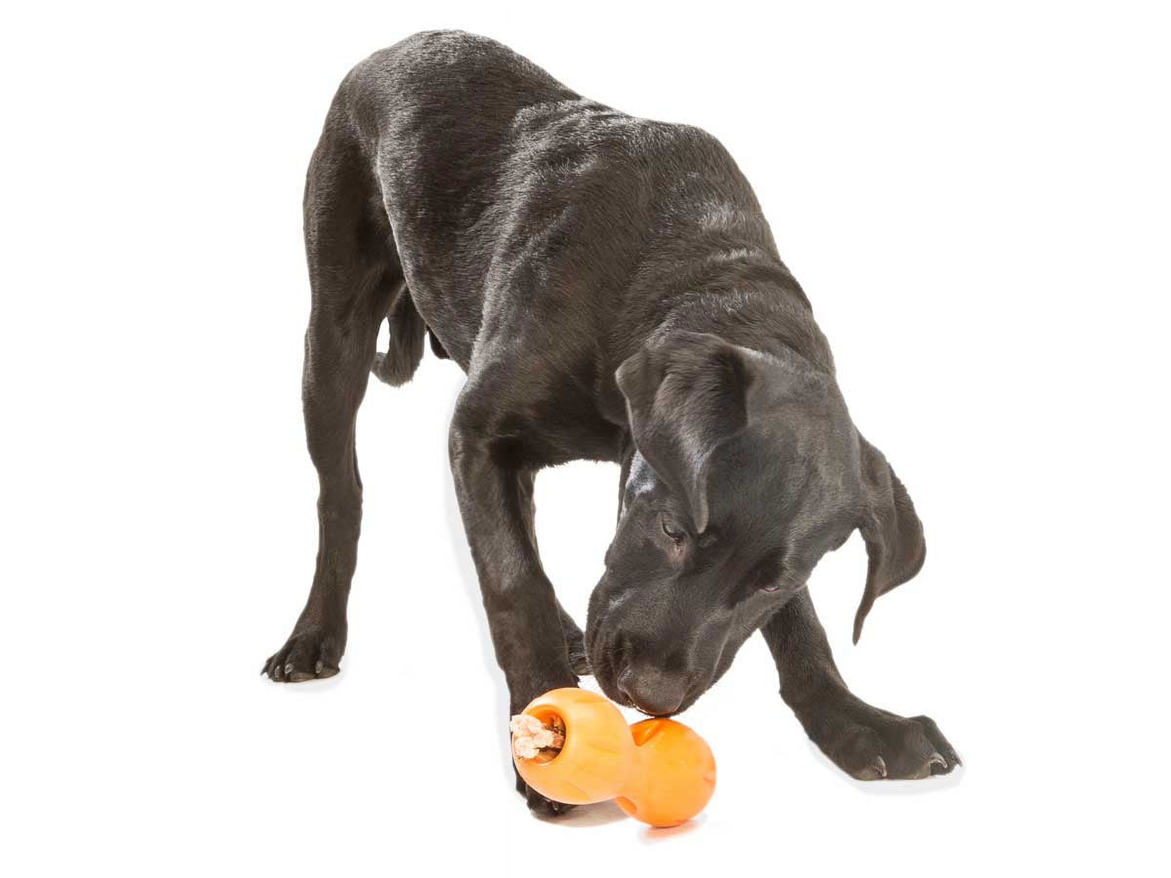West Paw Zogoflex Qwizl Small 5.5" Dog Toy Tangerine 3 eb4f2718 0af3 4173 ad50 a4b443a59fea.c02b92c97fd437880127993a4b591d15 - easyishop.co.uk