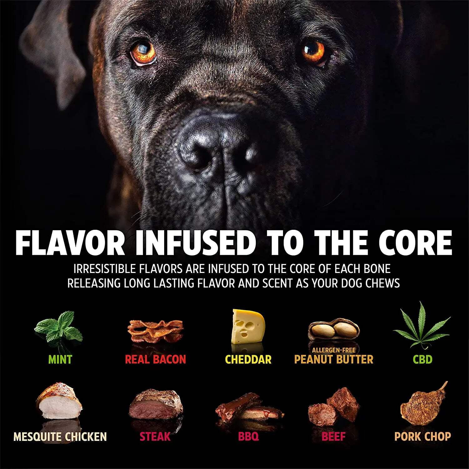 Pet Qwerks BarkBone Natural Instincts Bacon Infused Dinosaur Nylon Bone Dog Chew Toys for Aggressive Chewers - Real Bacon, Large 7 edd56a14 2c4d 44ca a05a 5f11ef20453d.5249c7baac753ac6c0a5fb058fcb8211 - easyishop.co.uk